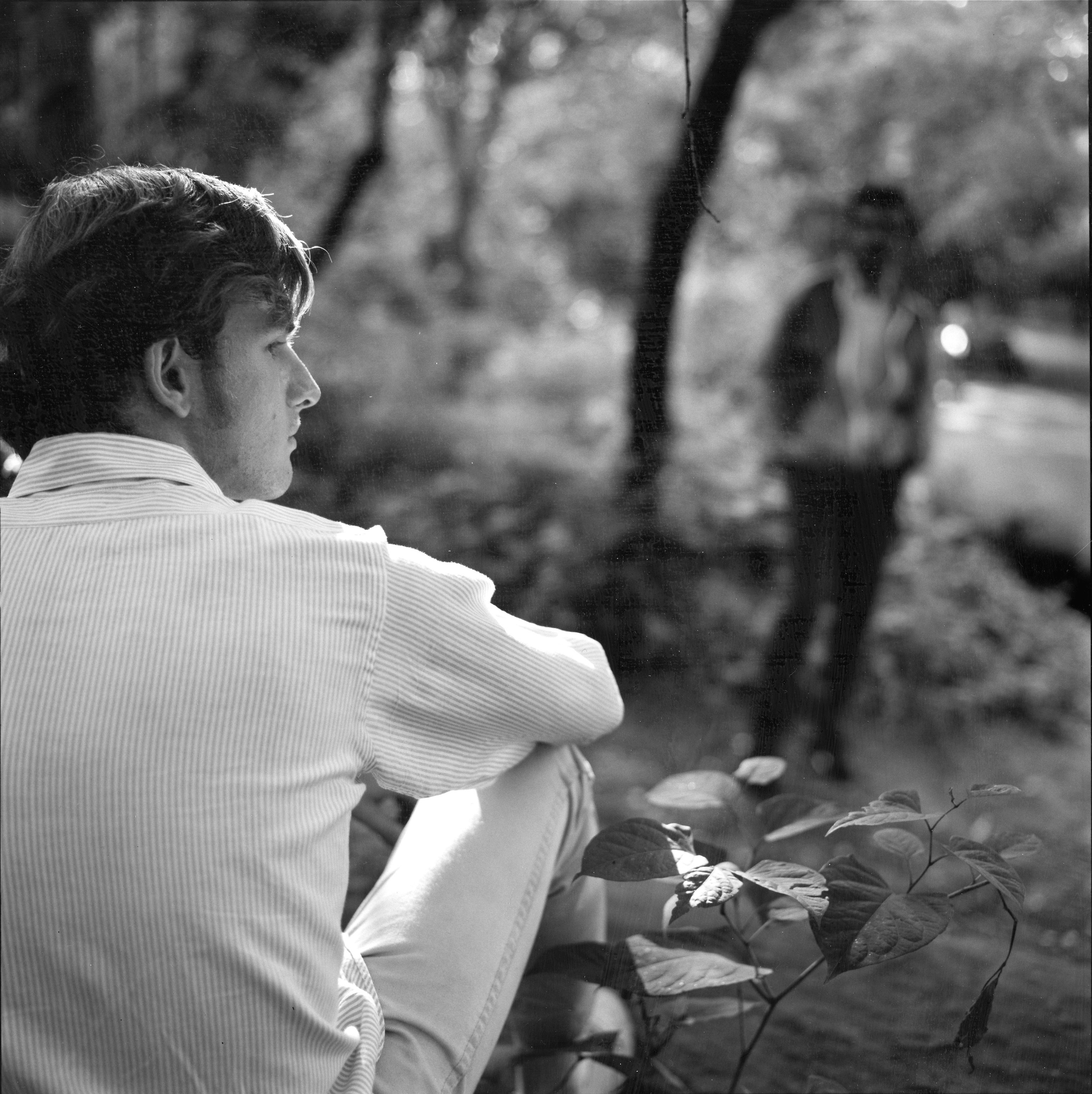 Black and white image of man in striped shirt sitting on bench, viewed from behind in profile, with blurred trees in background.