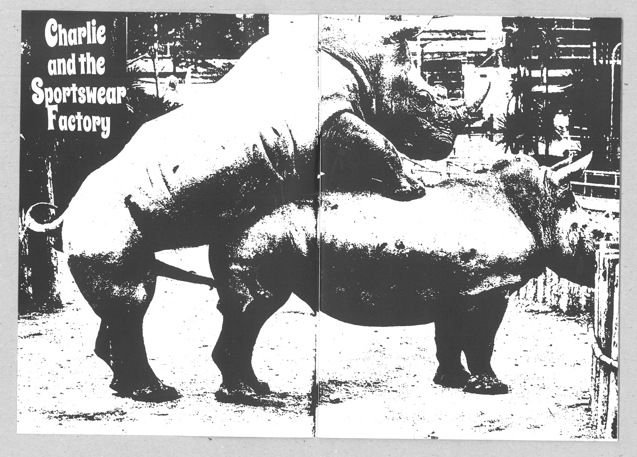 Black and white high-contrast image of two elephants with "Charlie and the Sportswear Factory" text in upper left corner.
