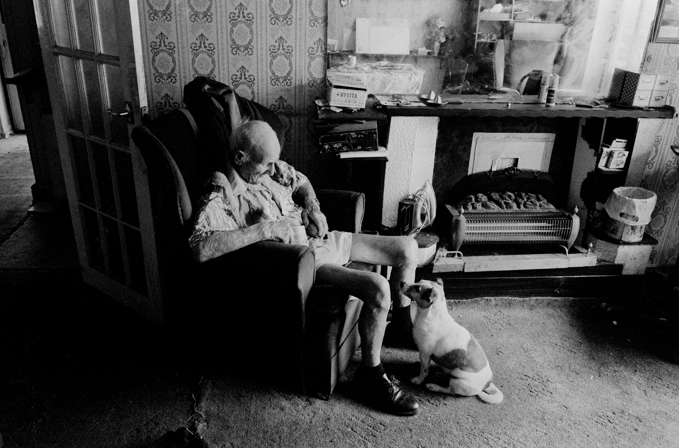 Elderly man in armchair reading with white cat on lap, black cat nearby. Cluttered room with desk, books, patterned wallpaper. Black and white.