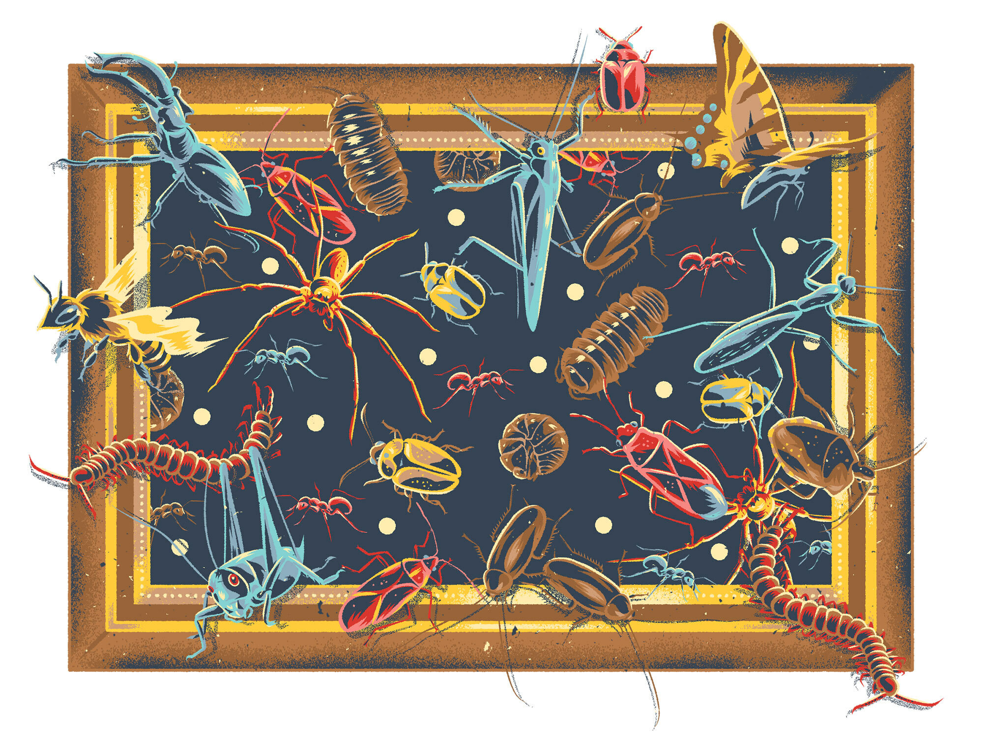 Colourful illustrated insect creatures in a framed composition, featuring vibrant shades of yellow, red, and blue on a dark background.