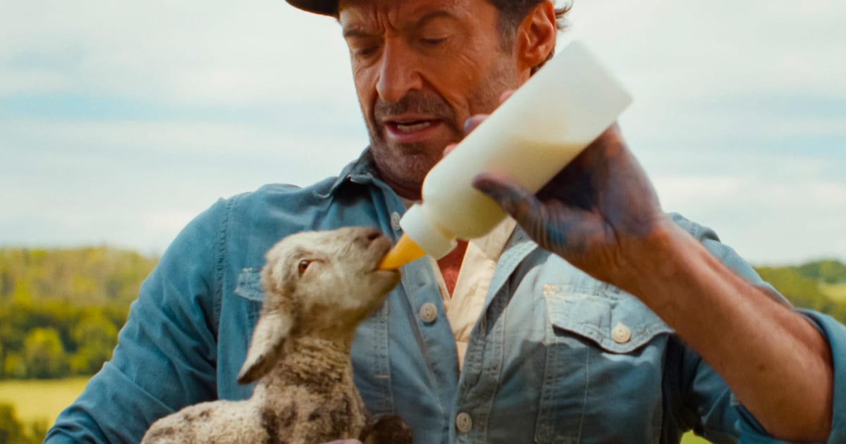 The Sheep Detectives review – cosy doesn’t cover… The Sheep Detectives review – cosy doesn’t cover…