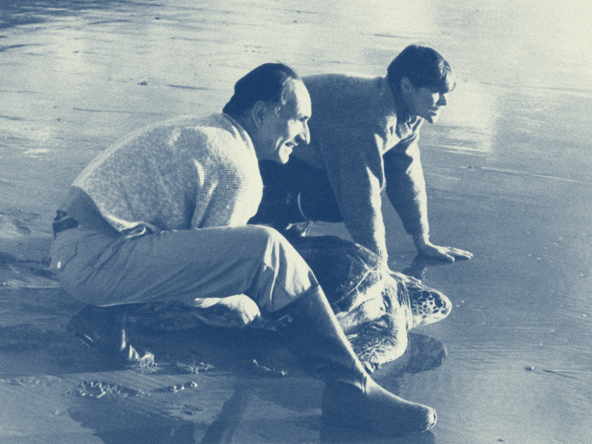 Two men kneeling on wet sand examining a large sea turtle, with waves washing around them on a beach.