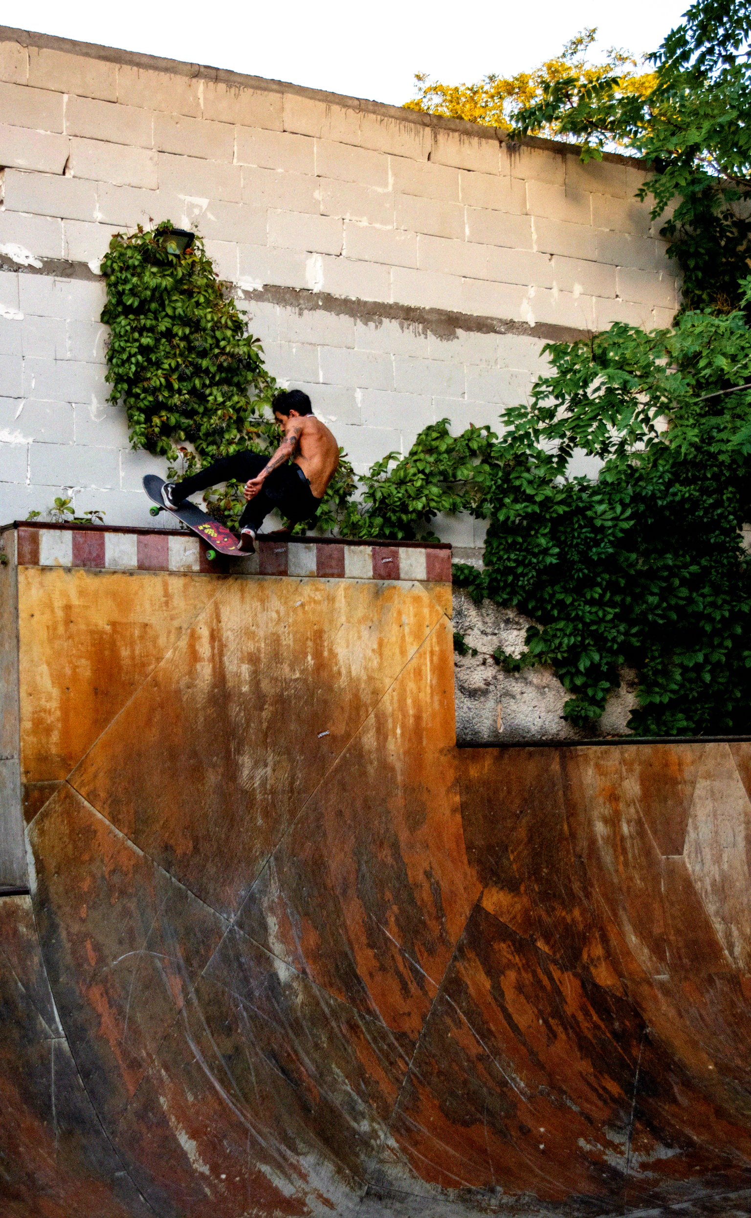 Shirtless skateboarder sitting on edge of concrete bowl with rust stains, surrounded by green vegetation and white block wall.