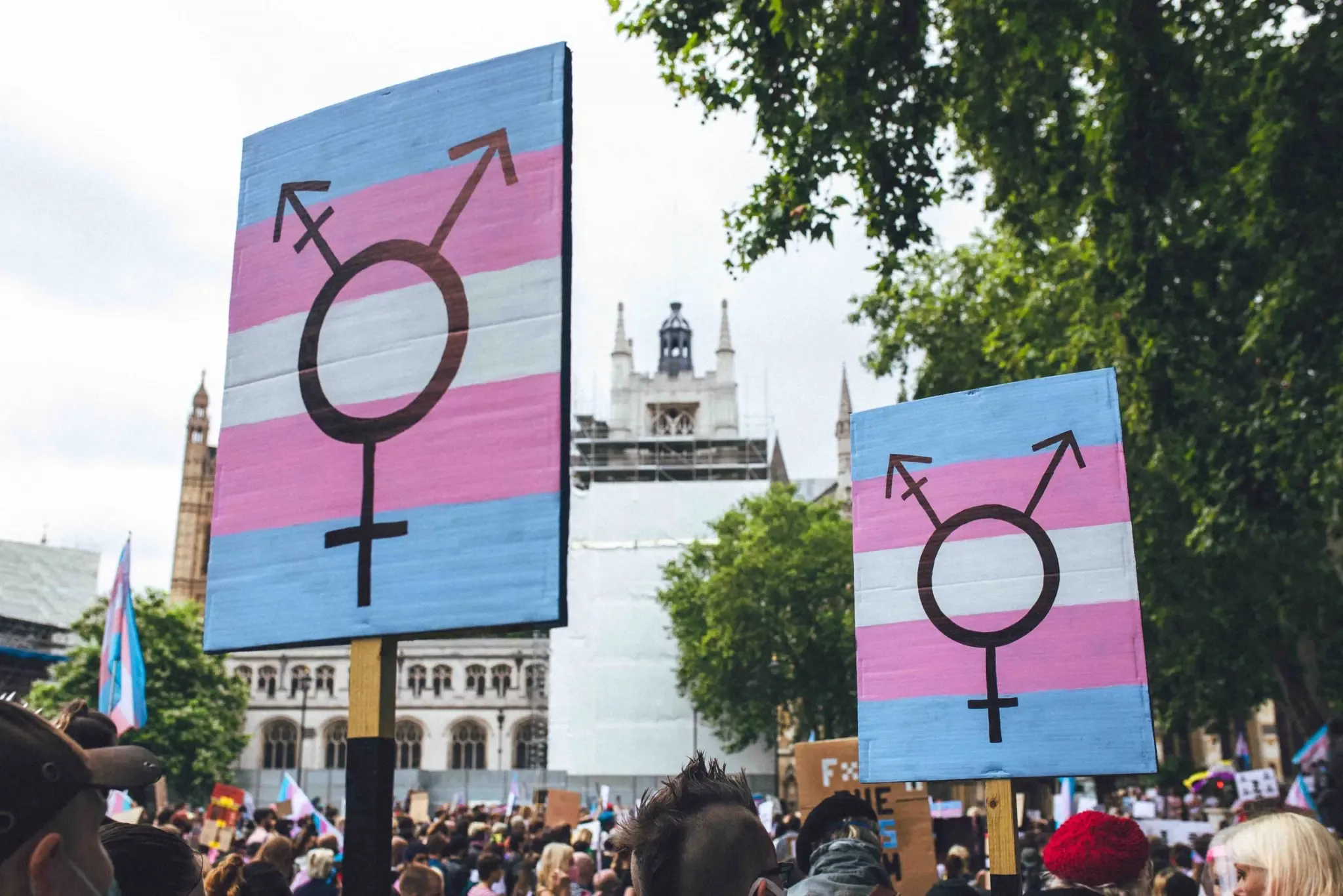 Two protest signs featuring transgender symbols on pink, blue and white striped backgrounds held above crowd with historic buildings behind.