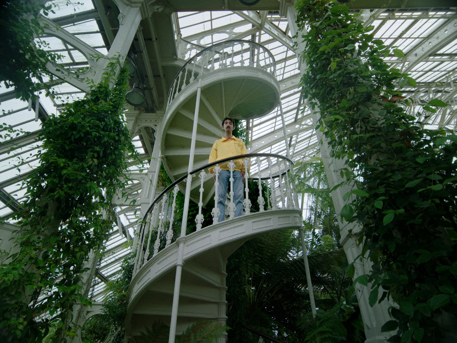 Person in yellow top standing on white spiral staircase inside glass greenhouse with metal framework and surrounding green foliage.