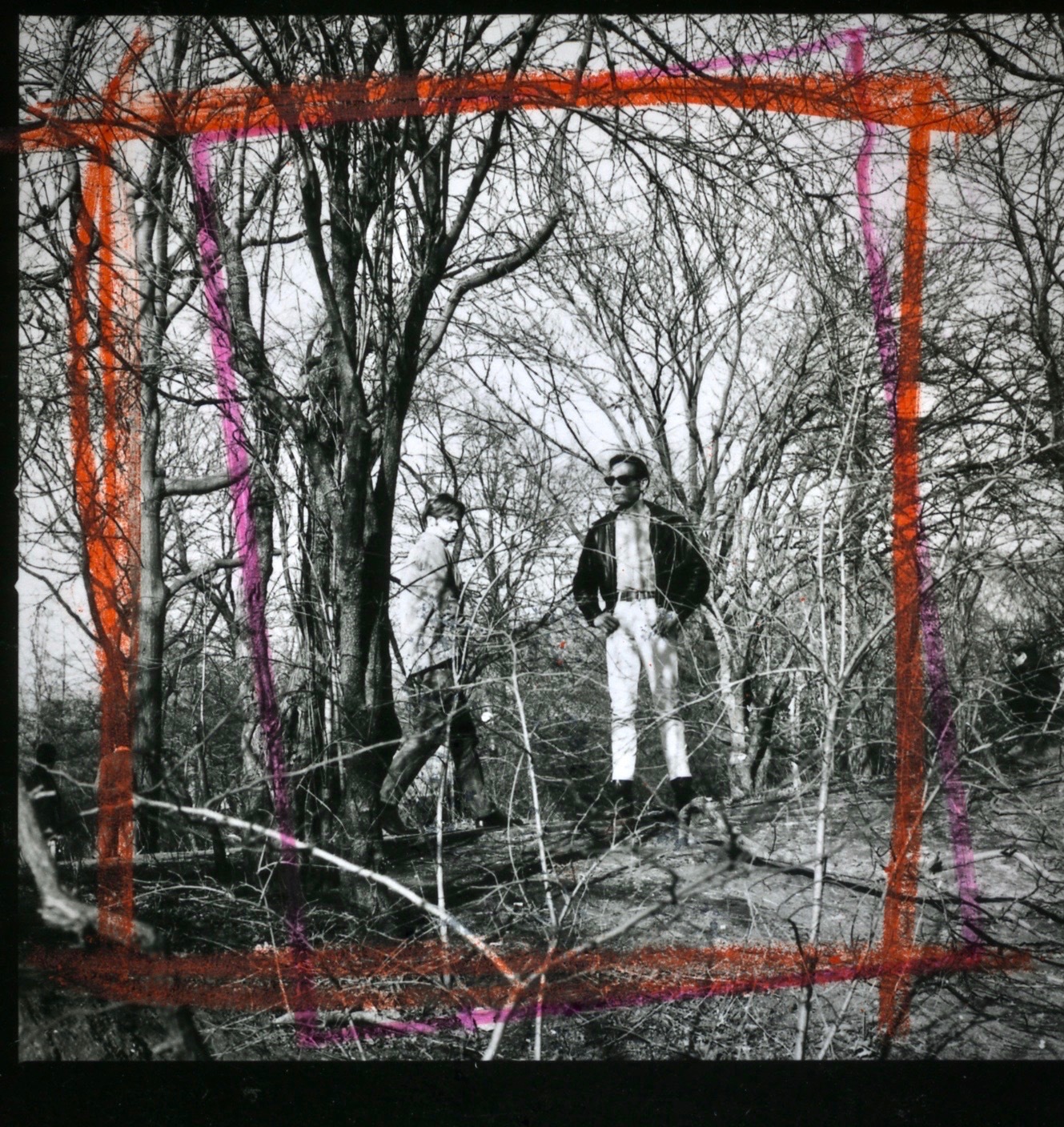 Orange geometric frame overlays black and white woodland scene with bare trees and two figures in white clothing standing amongst branches.