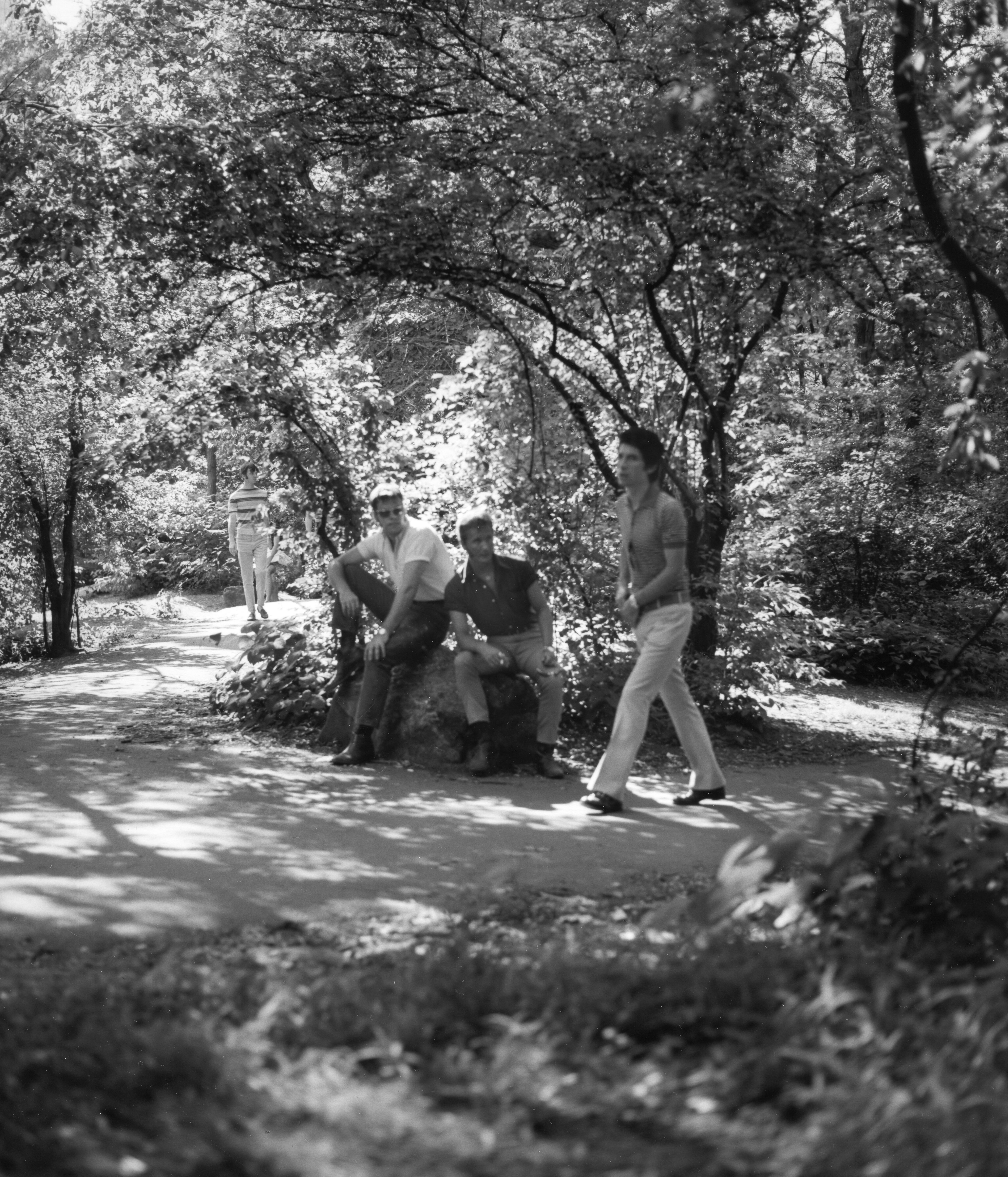 Black and white image of four people gathered around a tree stump on a woodland path, surrounded by dense leafy trees.