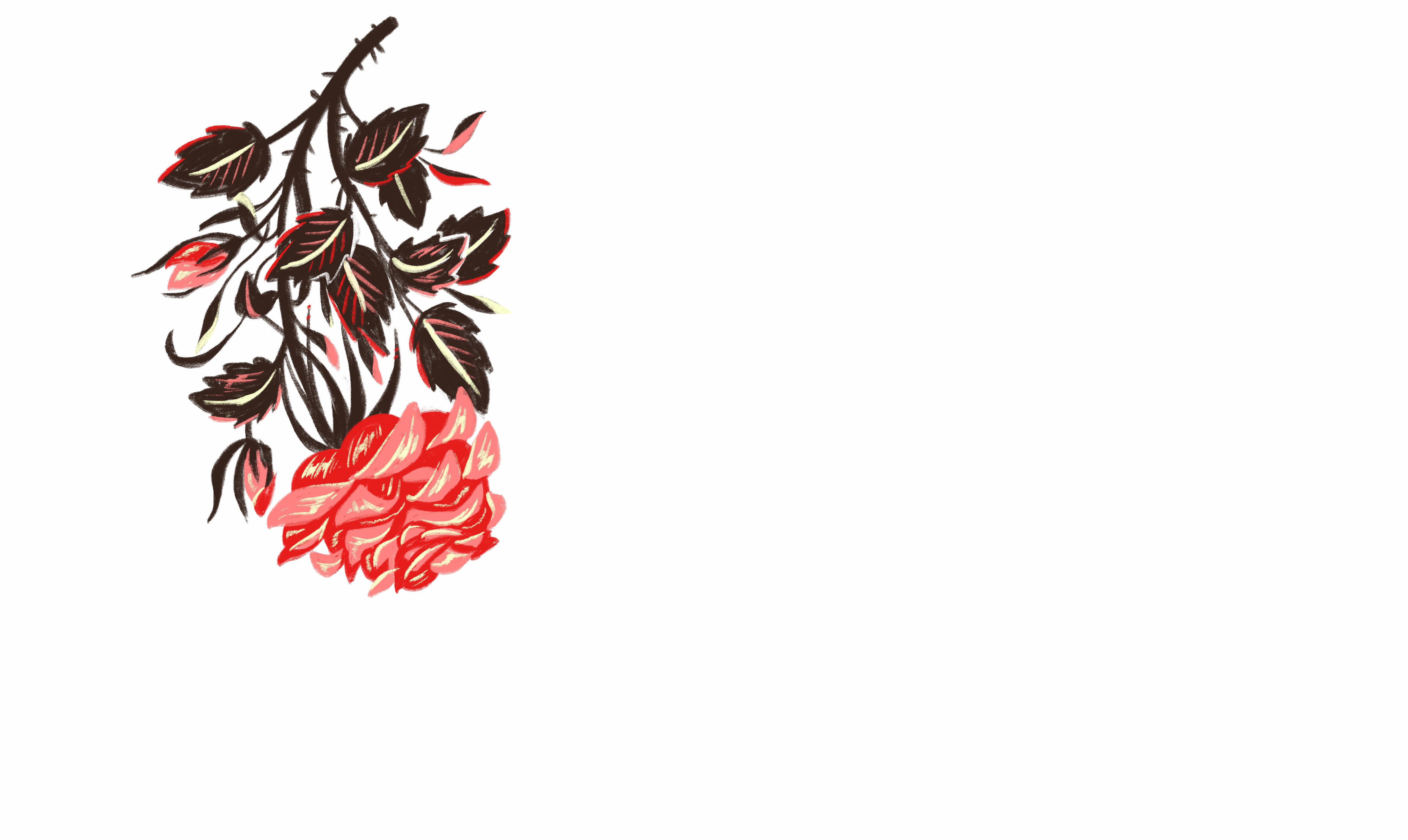 Vibrant red rose with dark green leaves, asymmetrical composition.