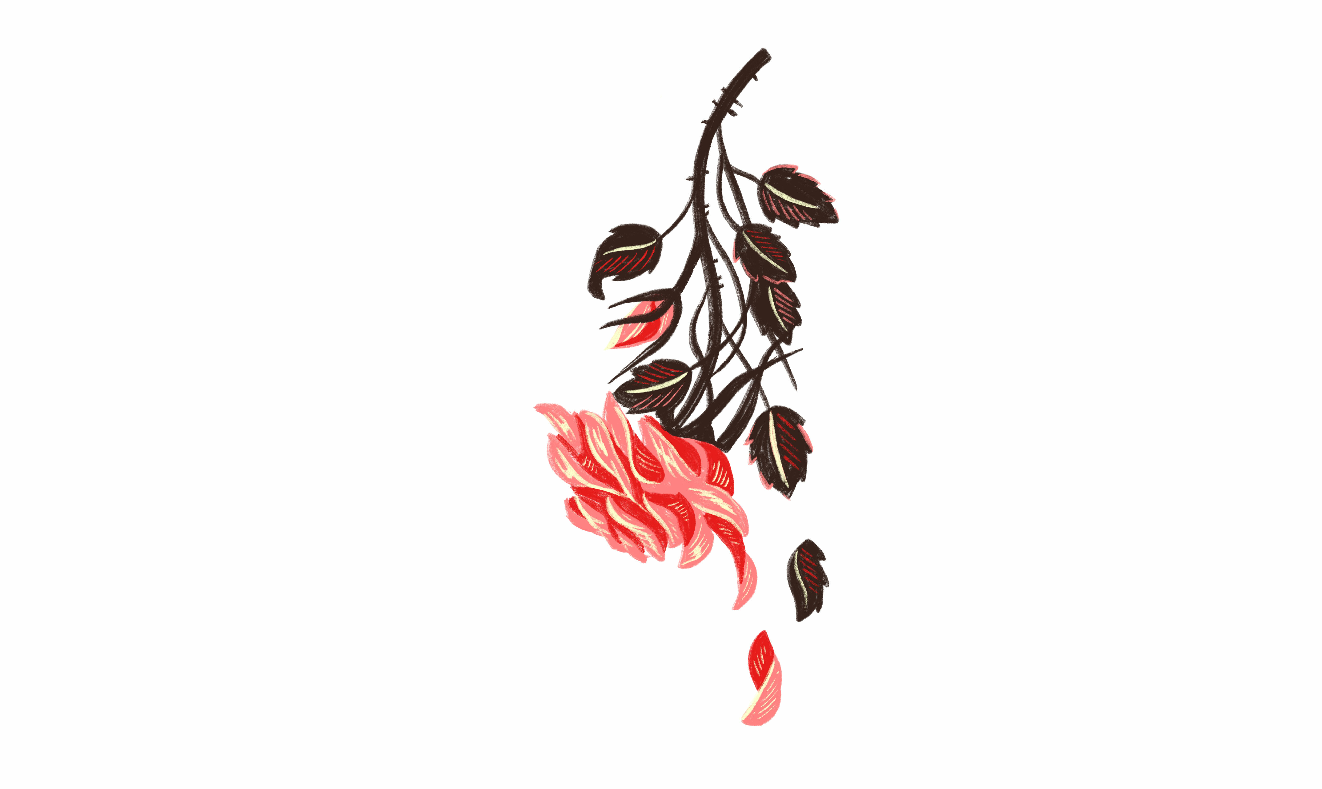 Bright red petals with brown leaves, abstract botanical design.