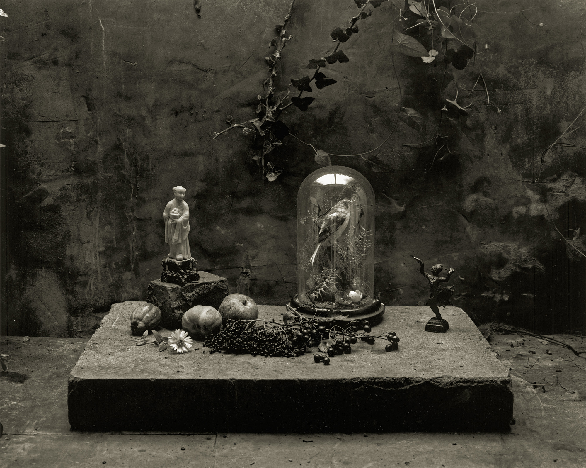 Stone table with glass dome, white figurine, scattered dark objects, and ivy-covered brick wall in muted lighting.