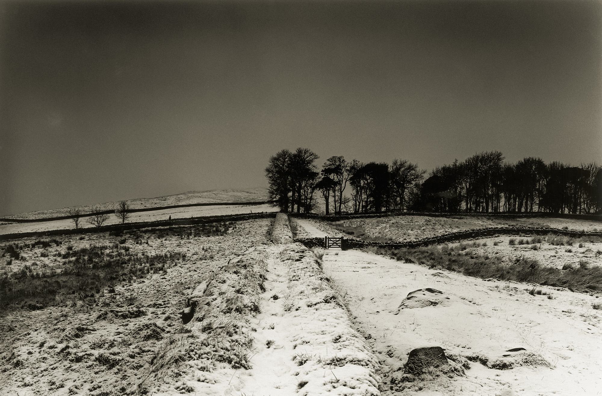 Snow-covered ploughed field with dark trees along horizon line under overcast grey sky. White furrows create linear patterns across brown earth.