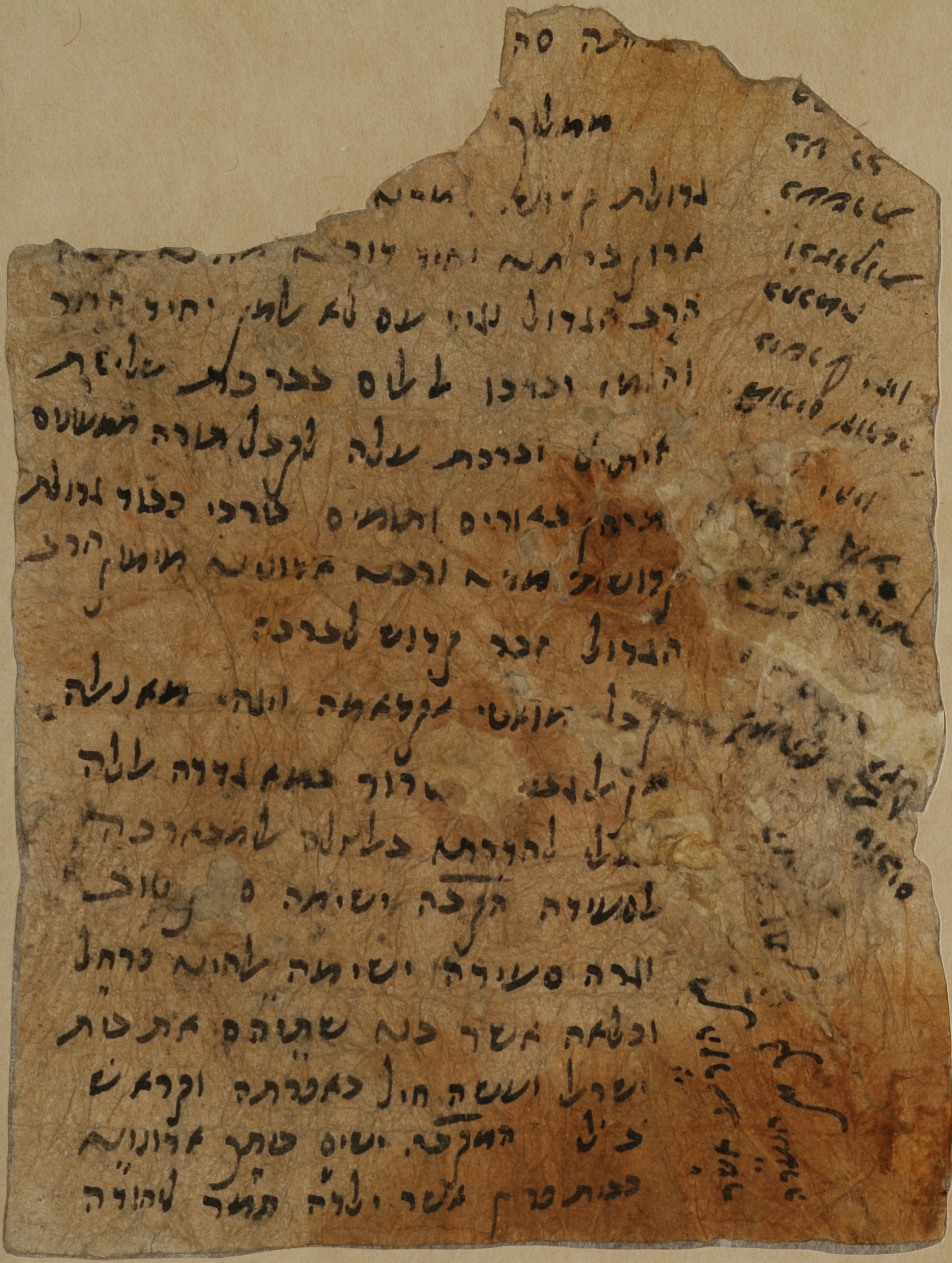 MS 8254 16r