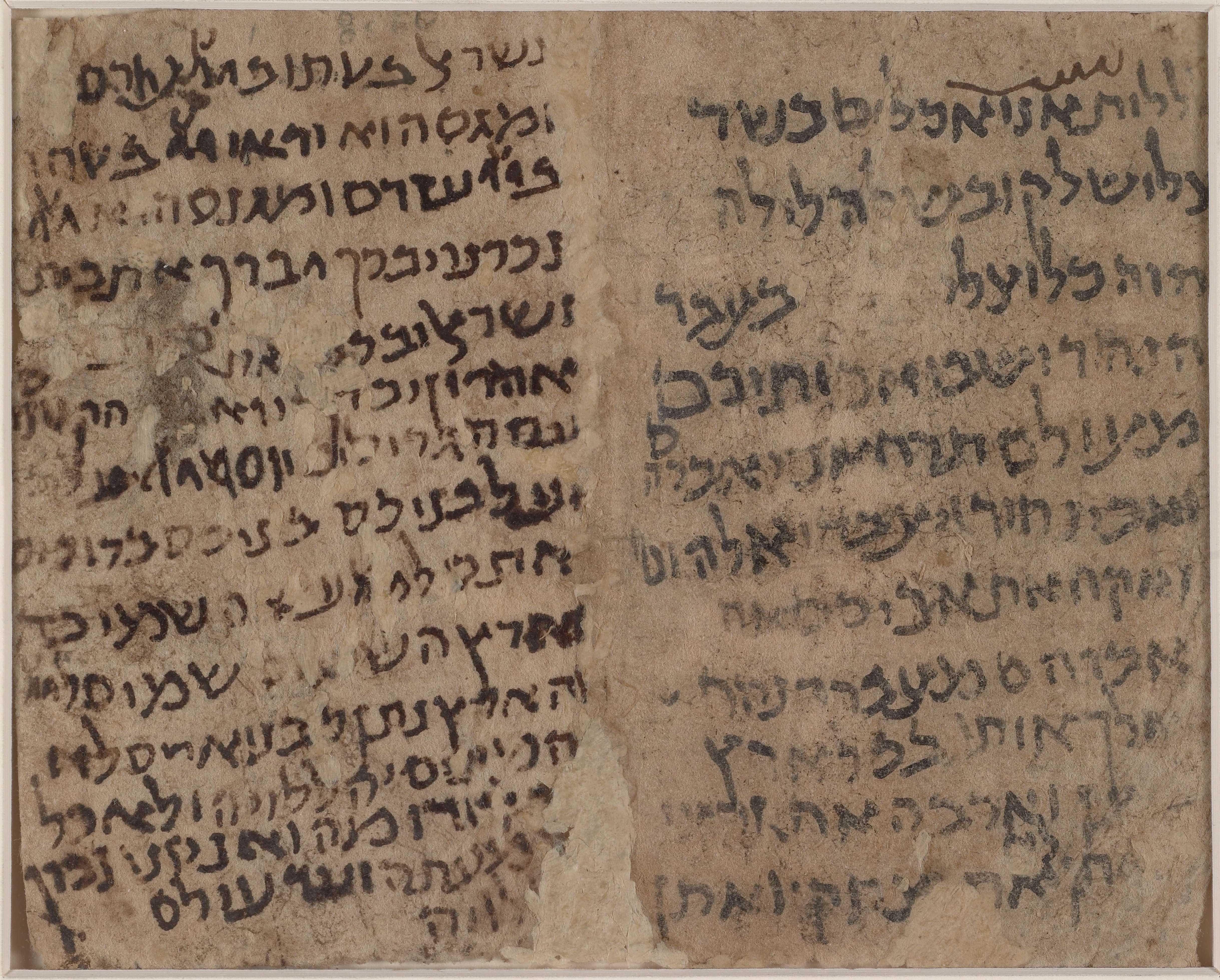 MS 9560 001v