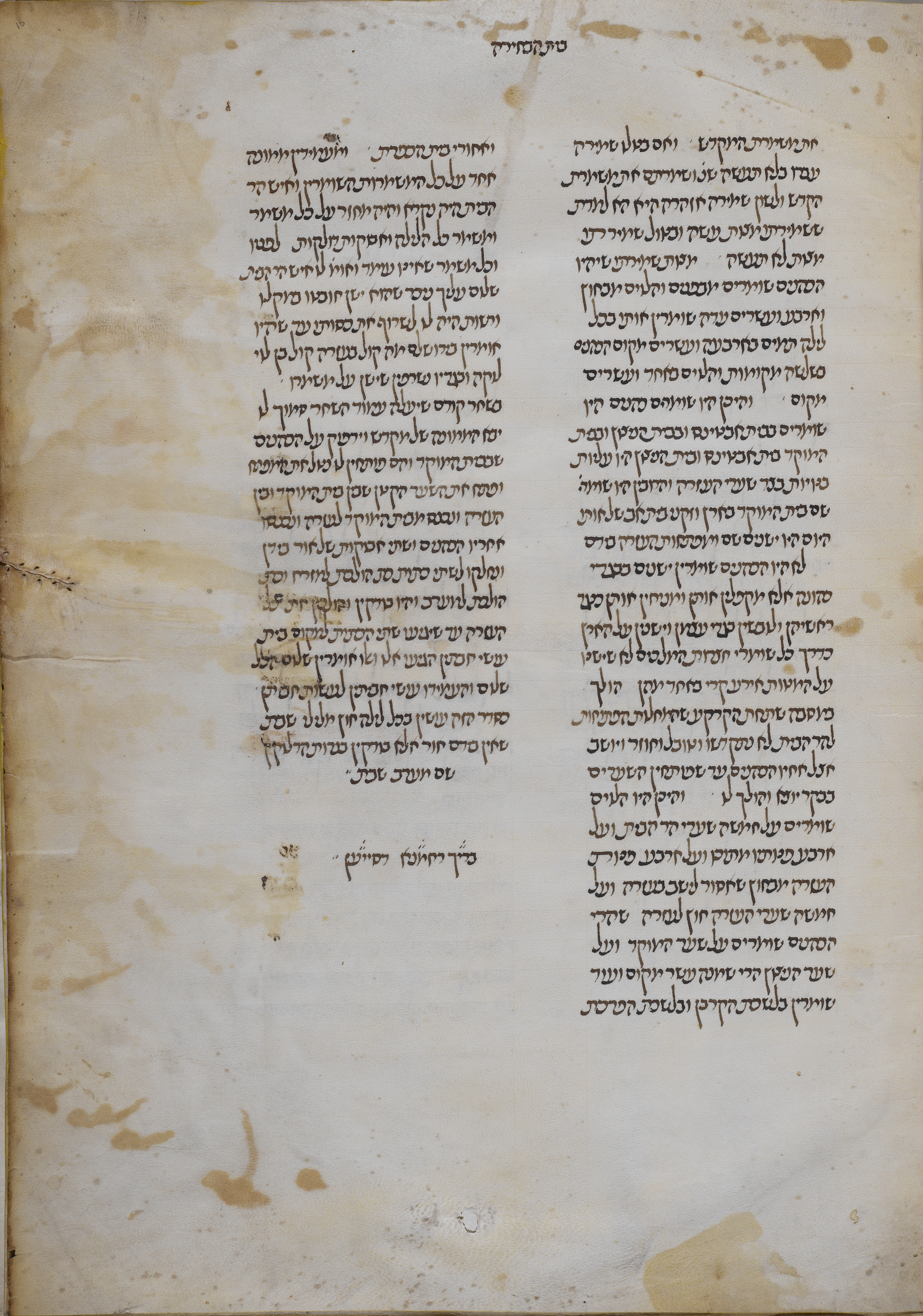MS R1618 Image 23