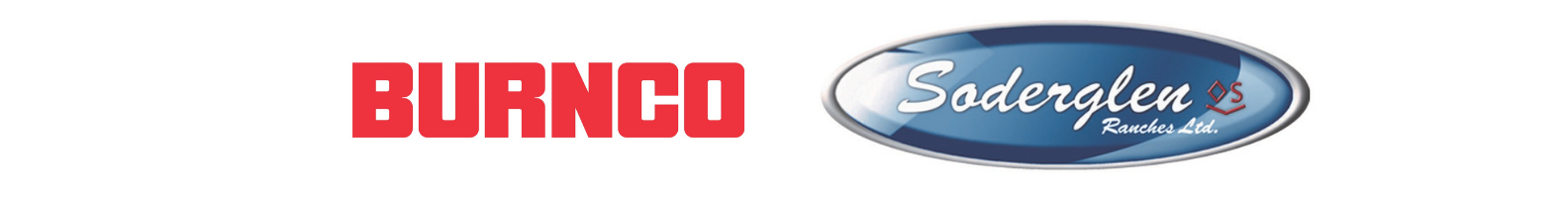 Website Logo Banners 2