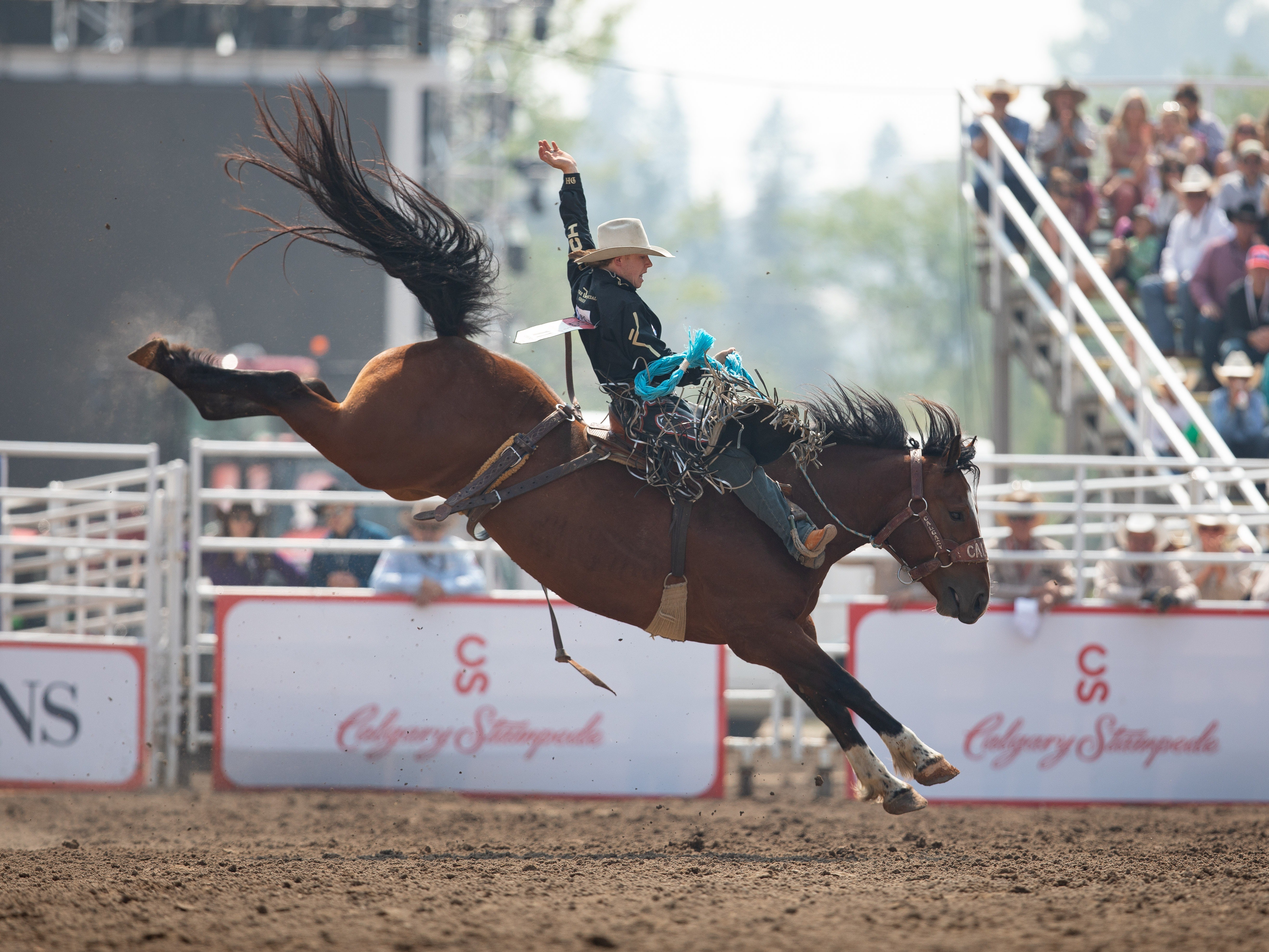Calgary Stampede Rodeo 2025