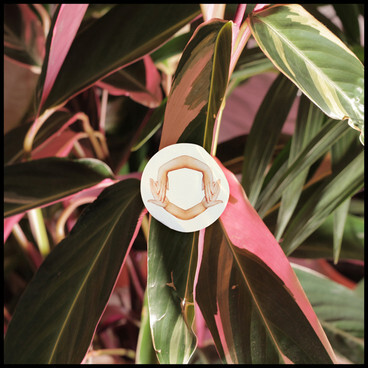 2014 Beaty Heart Mixed Blessings 020514