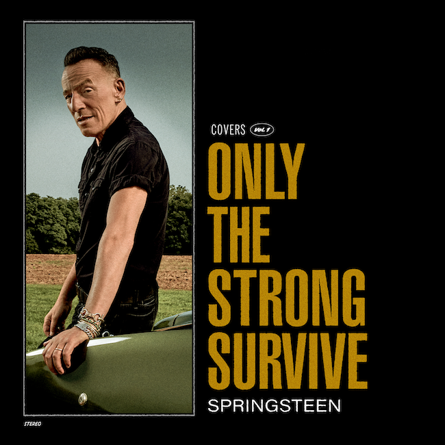Bruce Springsteen - Only The Strong Survive cover