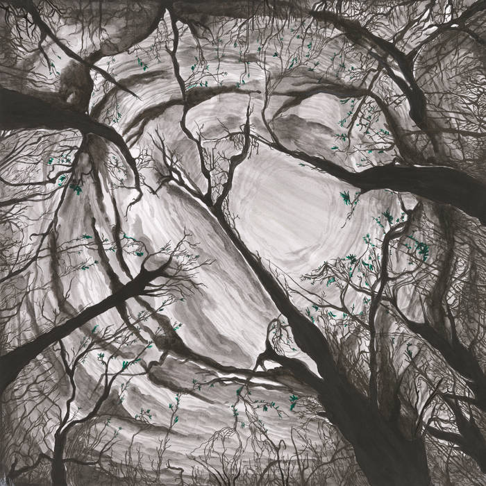 A Cause In Distress In Search Of Spring cover