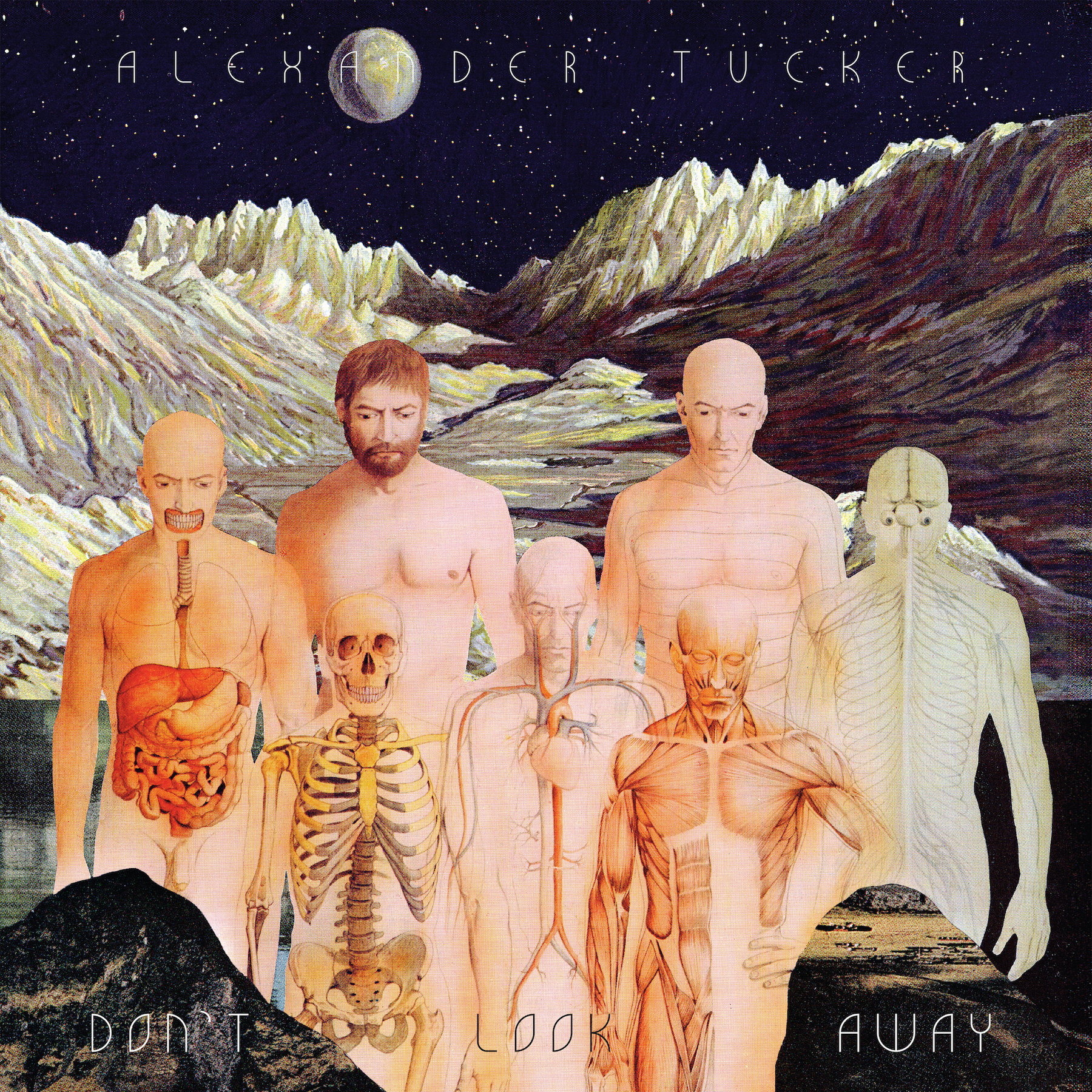 Alexander Tucker faces the future with a hopeful realism on Don't Look ...