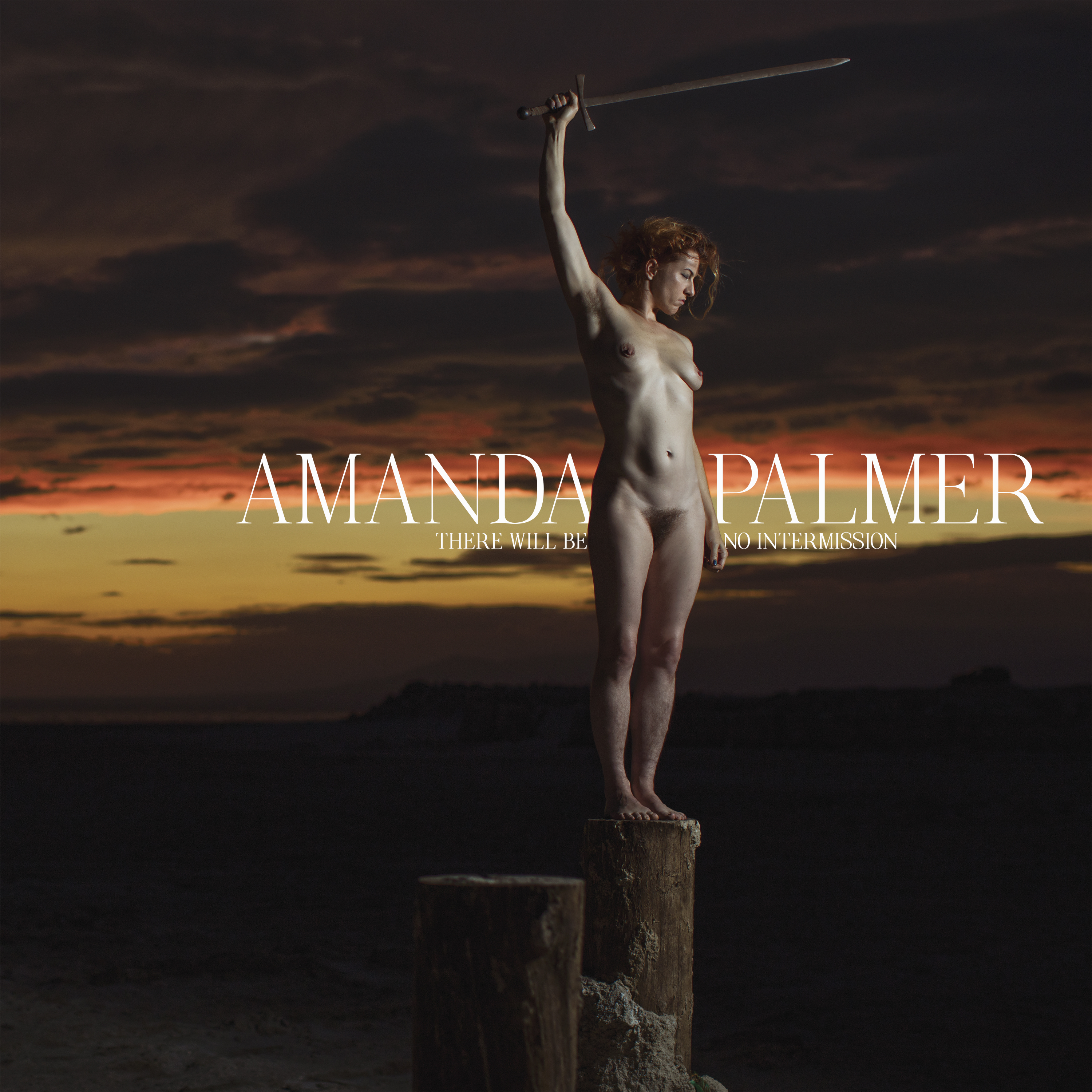 Amanda Palmer TWBNI
