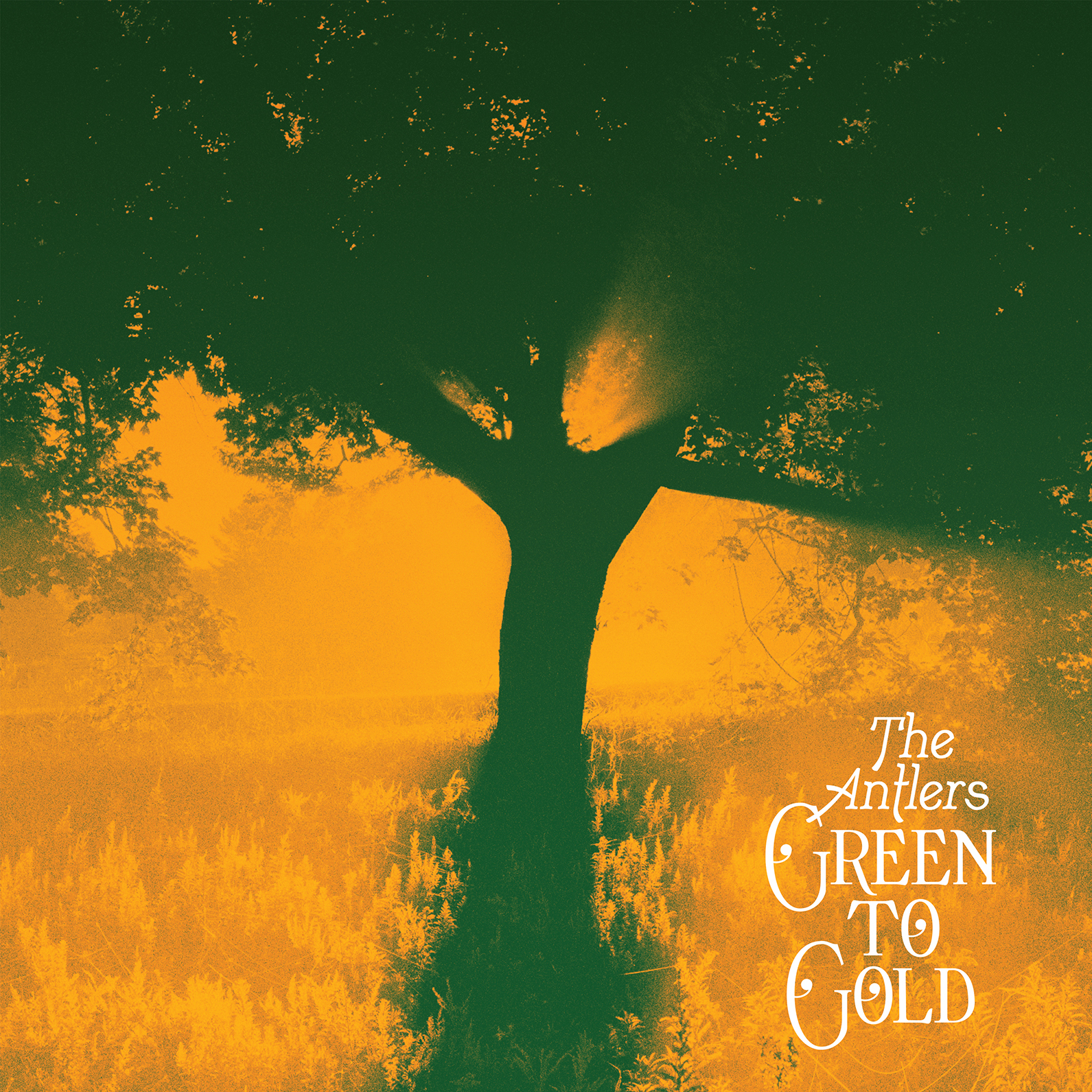 Antlers Greento Gold LP 110220