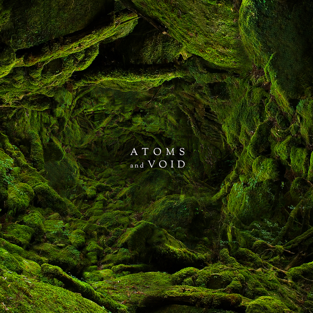 Atoms and Void And Nothing Else