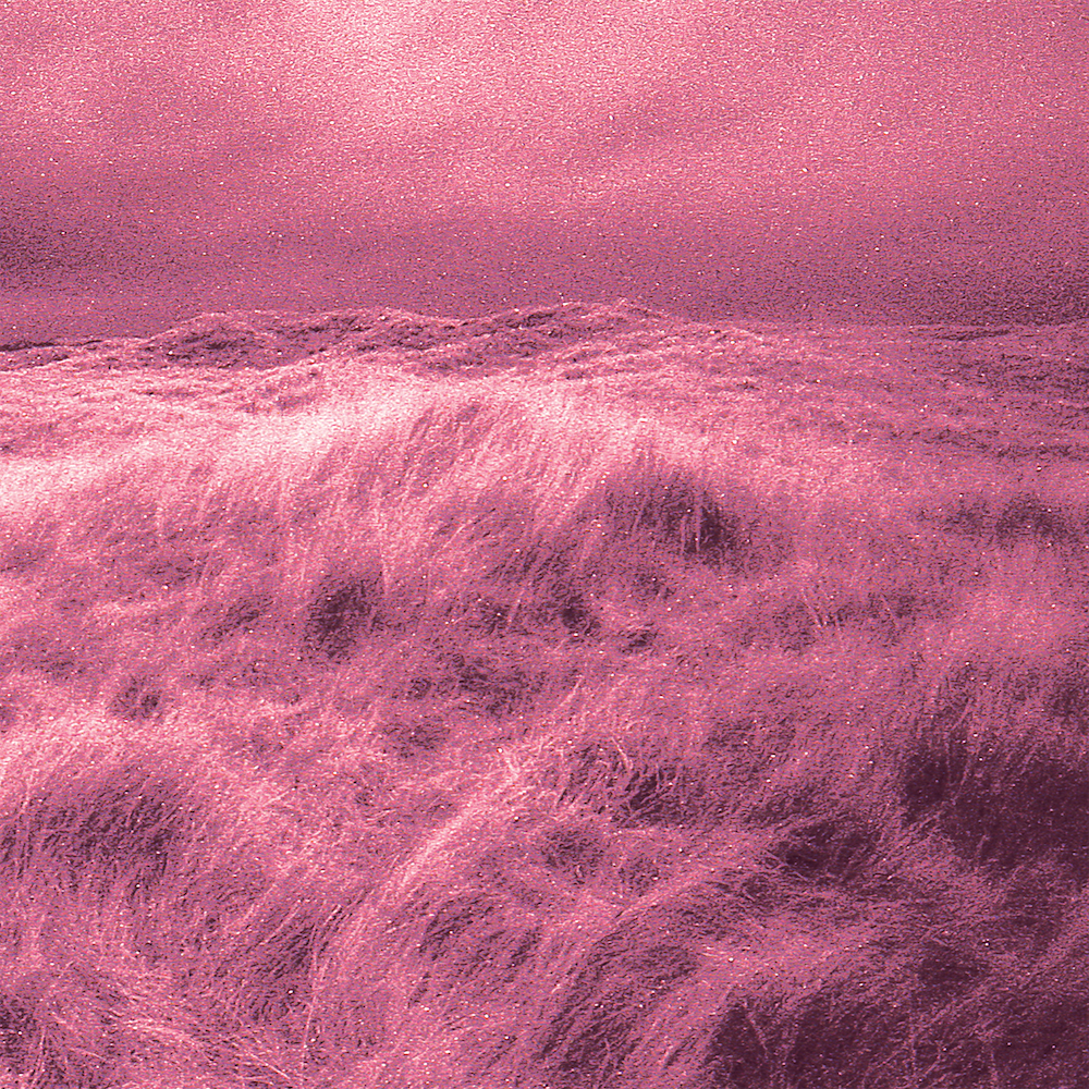 BAIT Sea Change Album Artwork