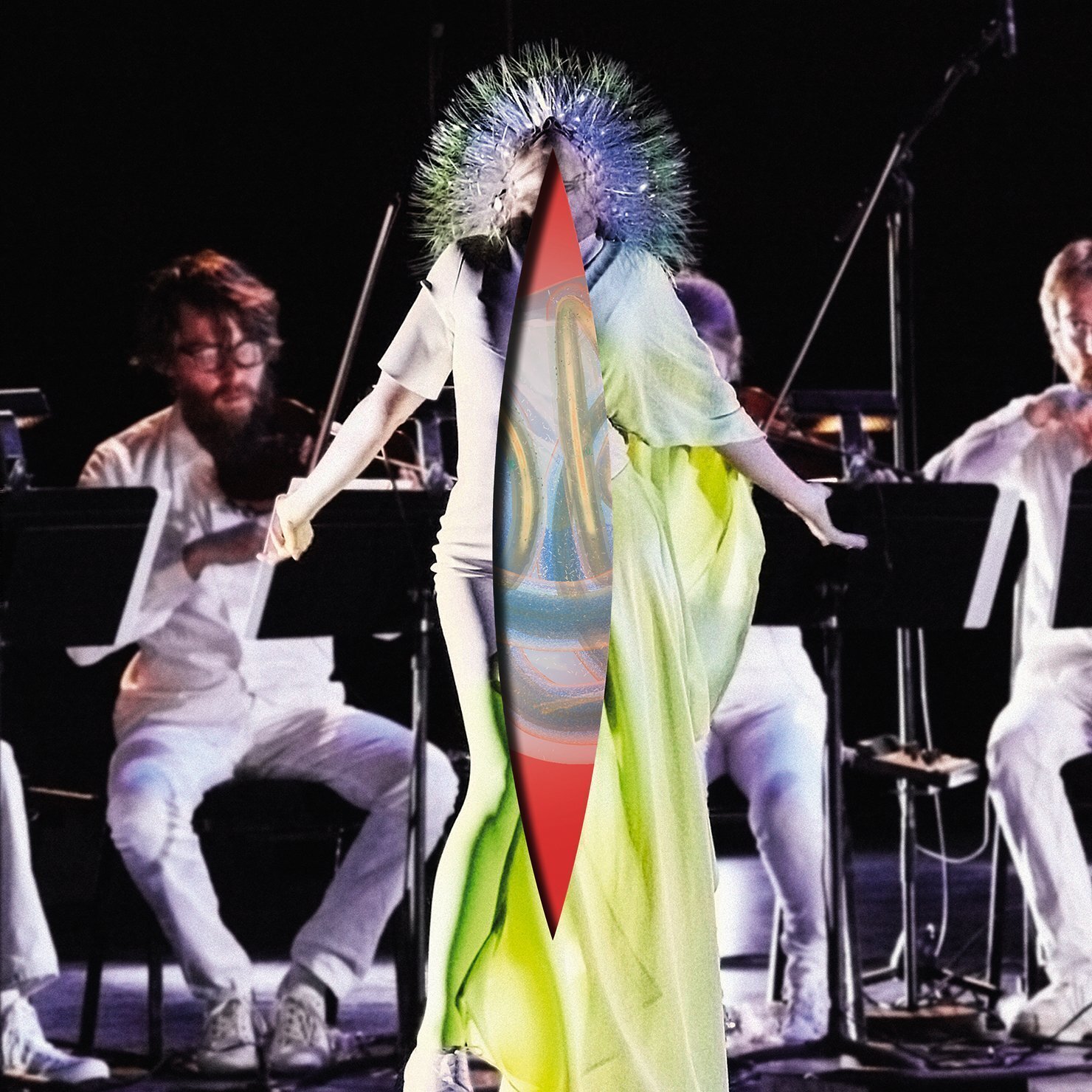 Bjork Vulnicura strings