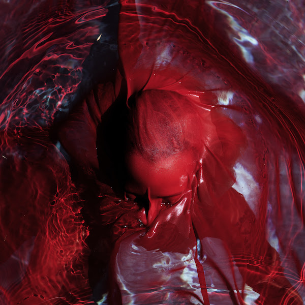 Blackwater Holylight Not Her Not Gone cover