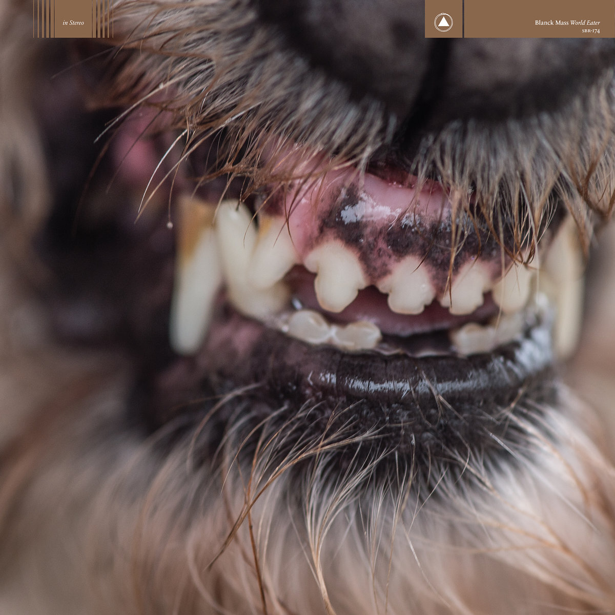 Blanck Mass World Eater