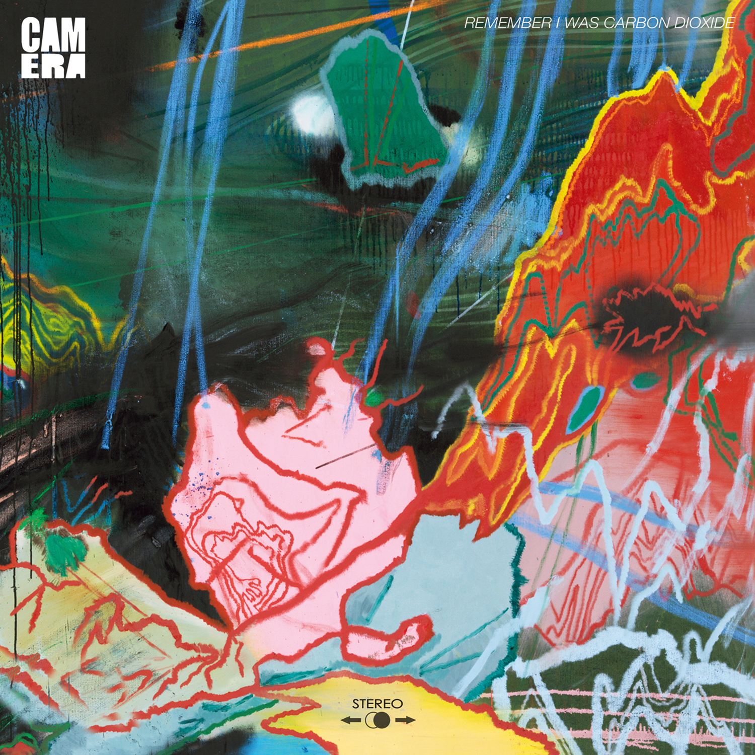 Camera Remember I Was Carbon Dioxide