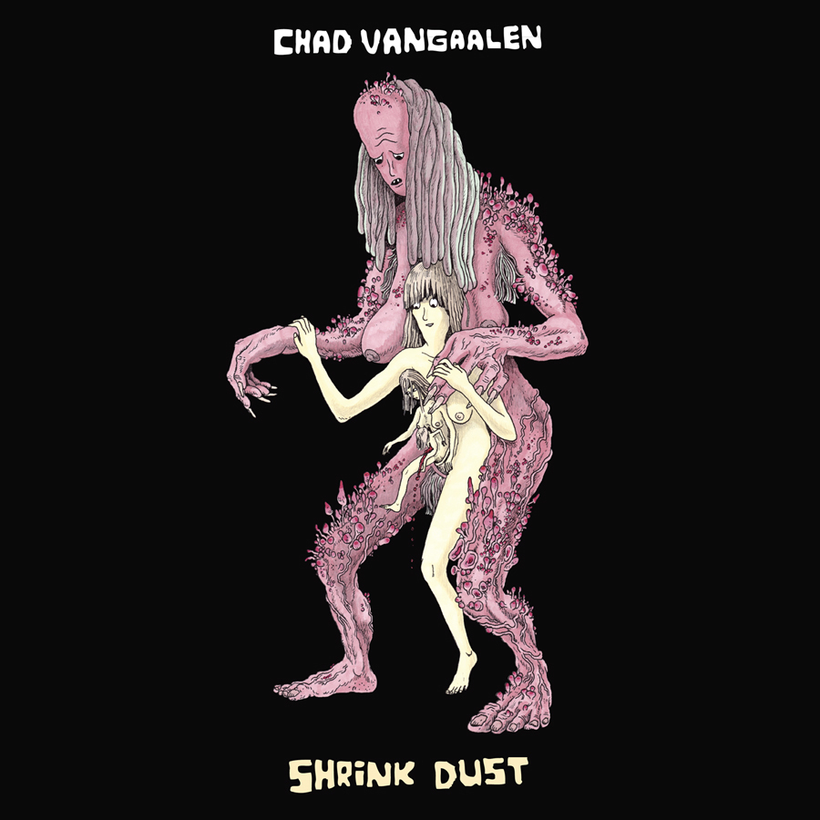 Chad Van Gaalen Shrinkdust