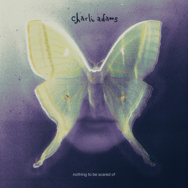Charli Adams - nothing to be scared of - album artwork