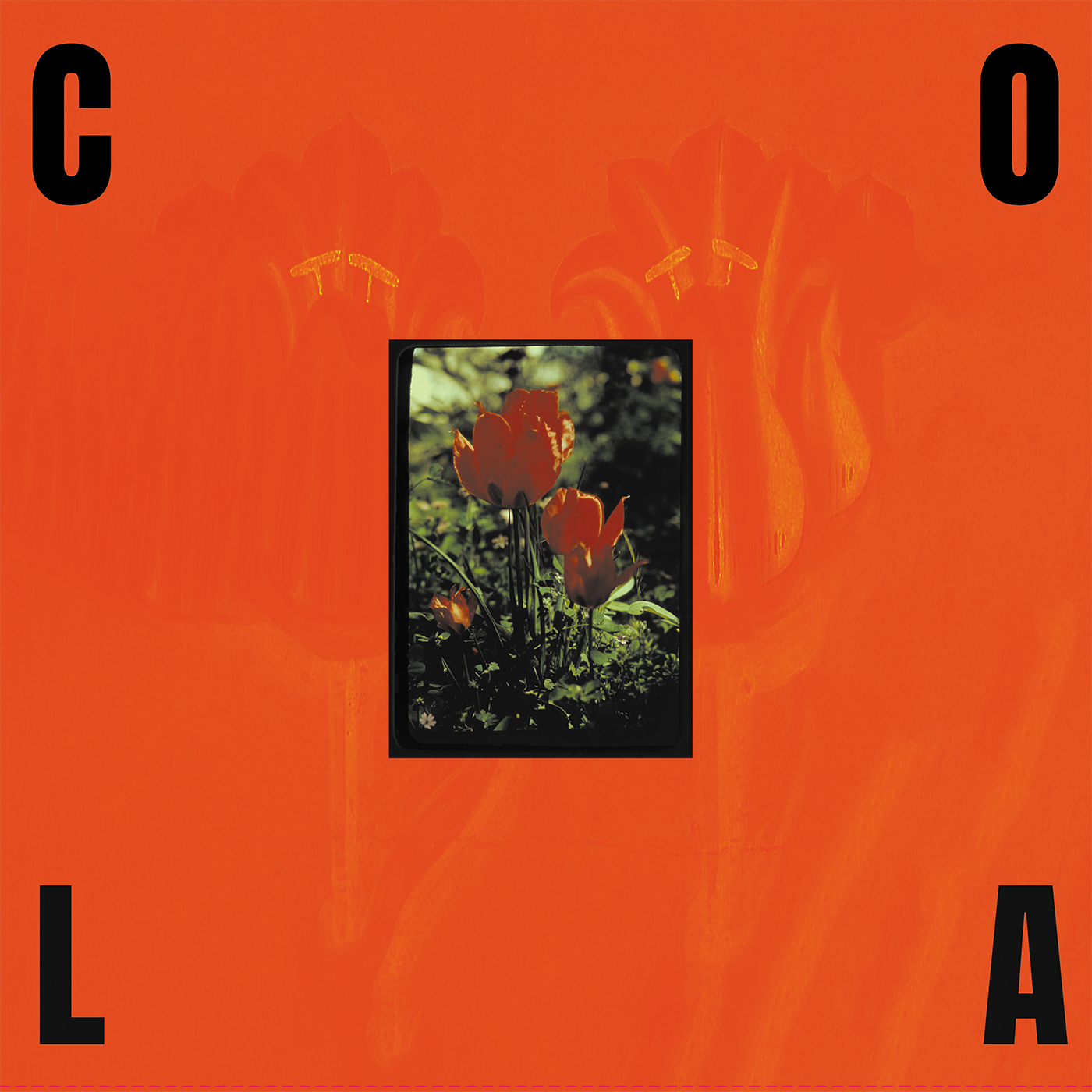 Cola The Gloss cover