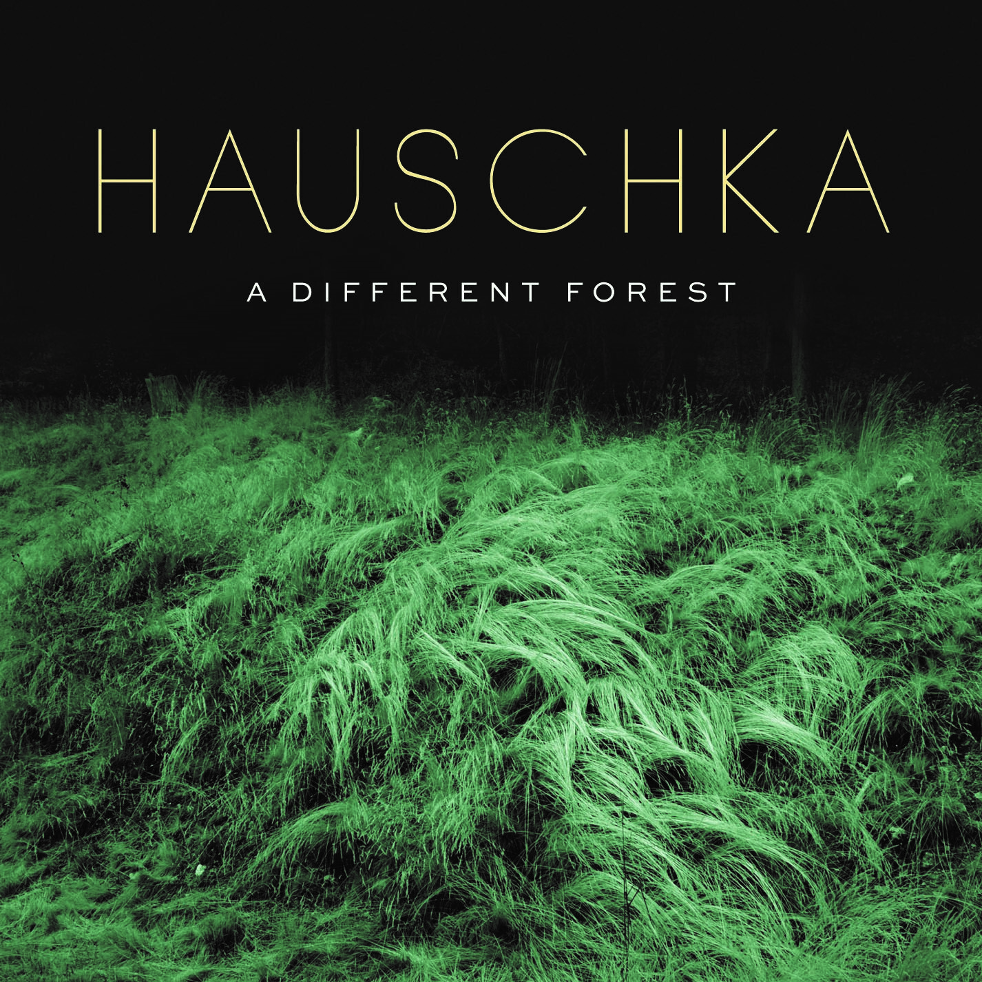 Cover Hauschka A Different Forest 182223190