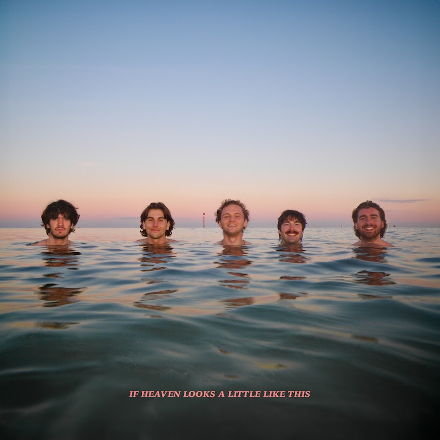 DELIGHTS IHLALLT cover