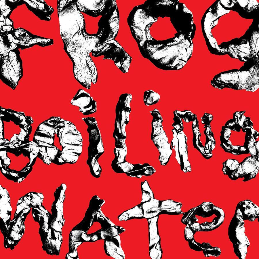 DIIV Frog In Boiling Water cover