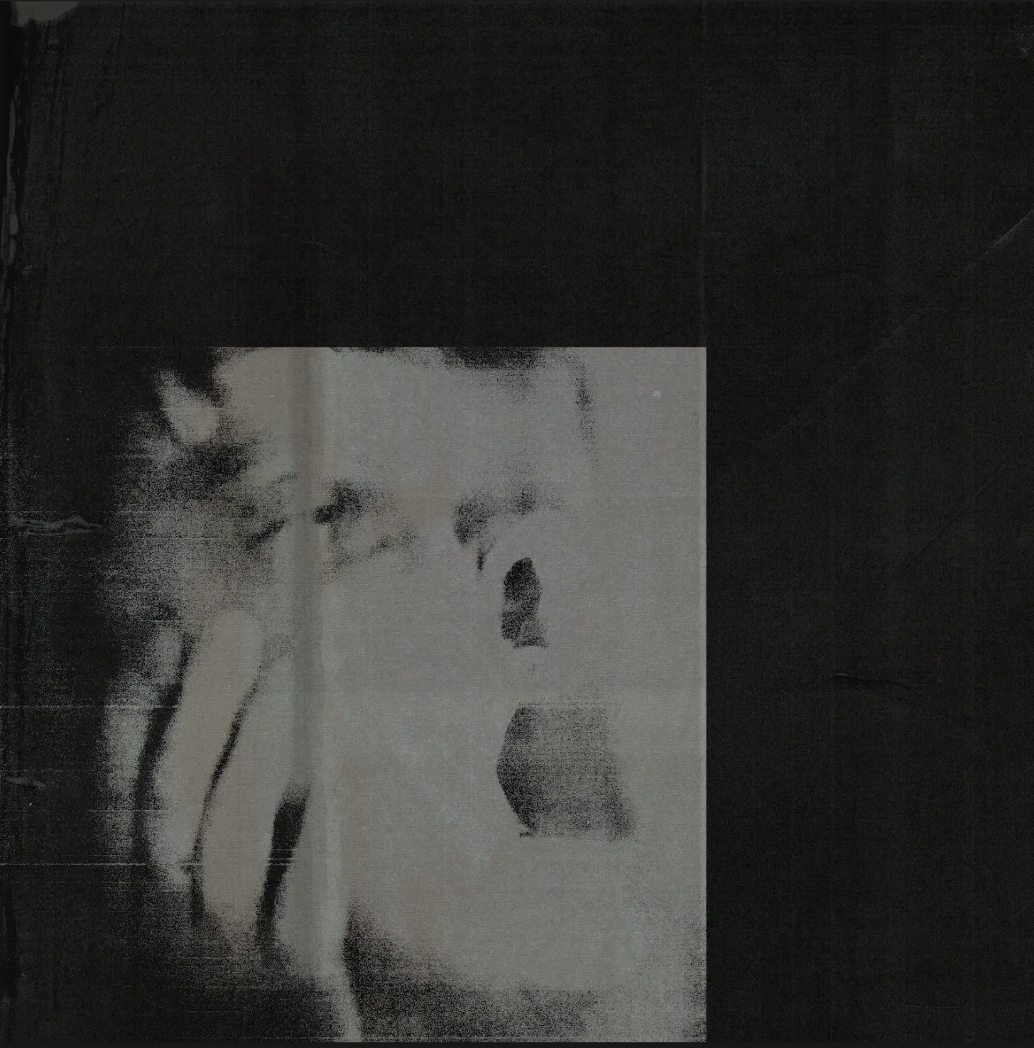 DITZ Never Exhale cover