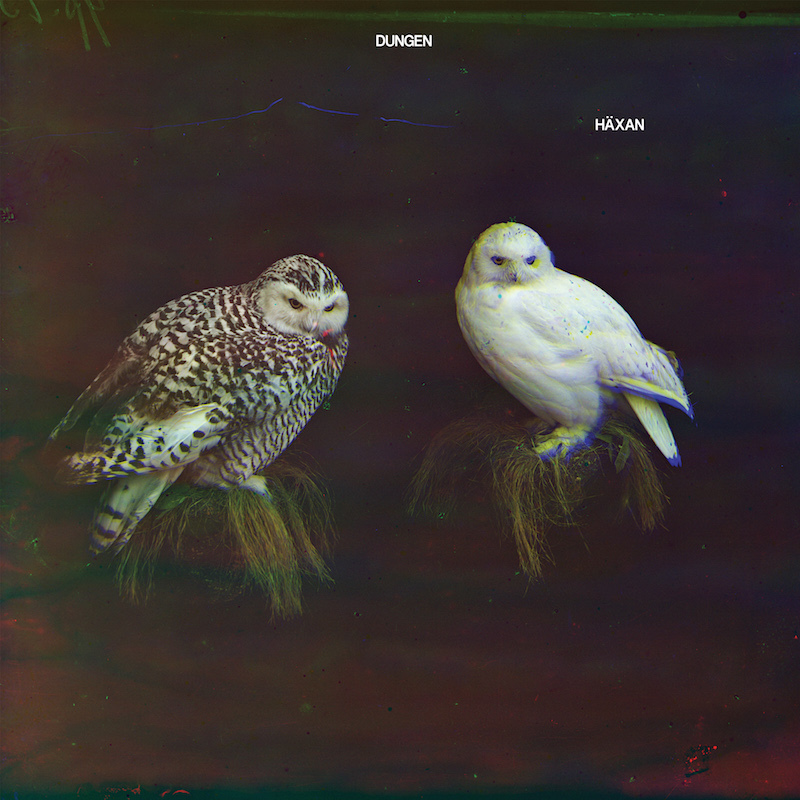 Dungen Haxan web 1