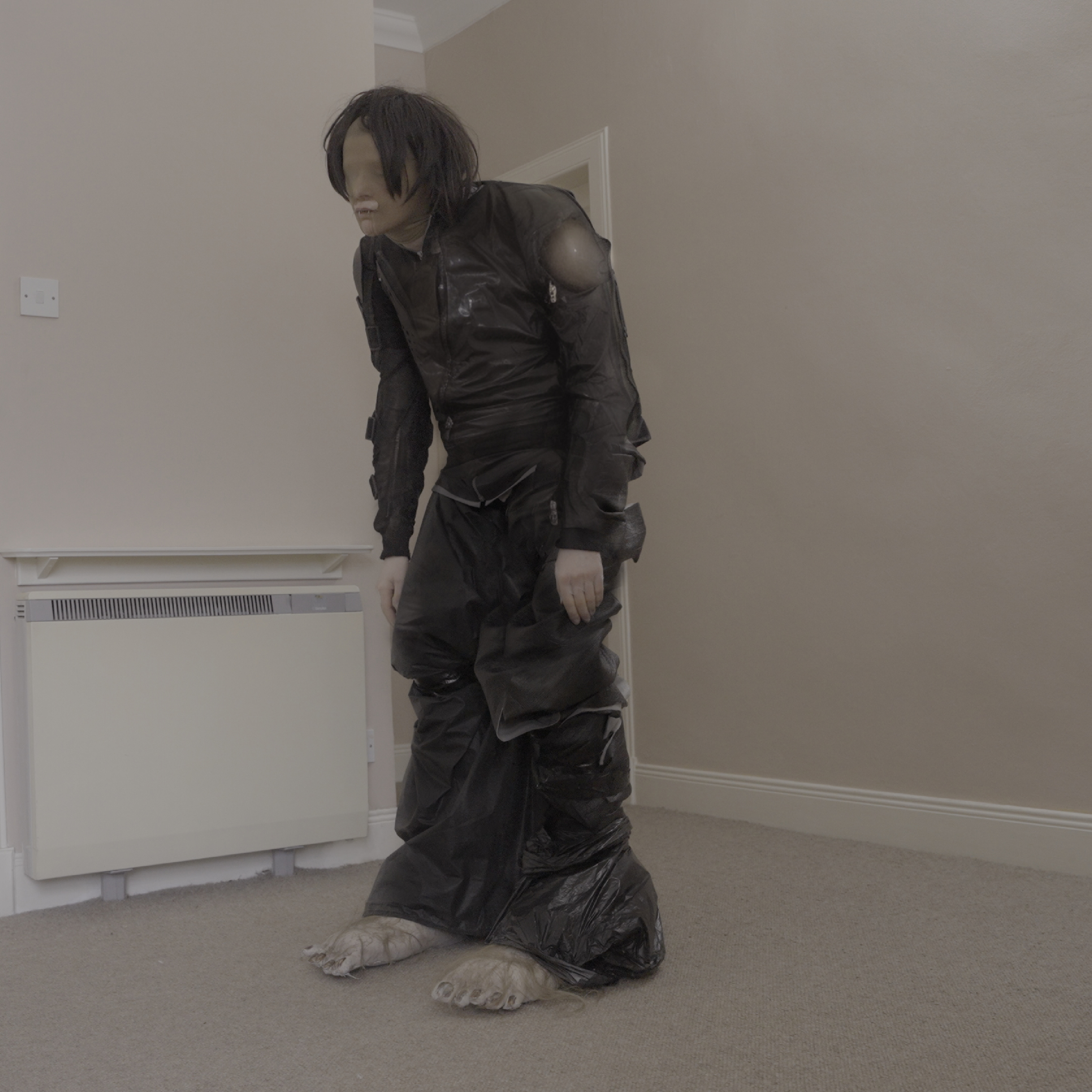 El Perro Del Mar Big Anonymous cover