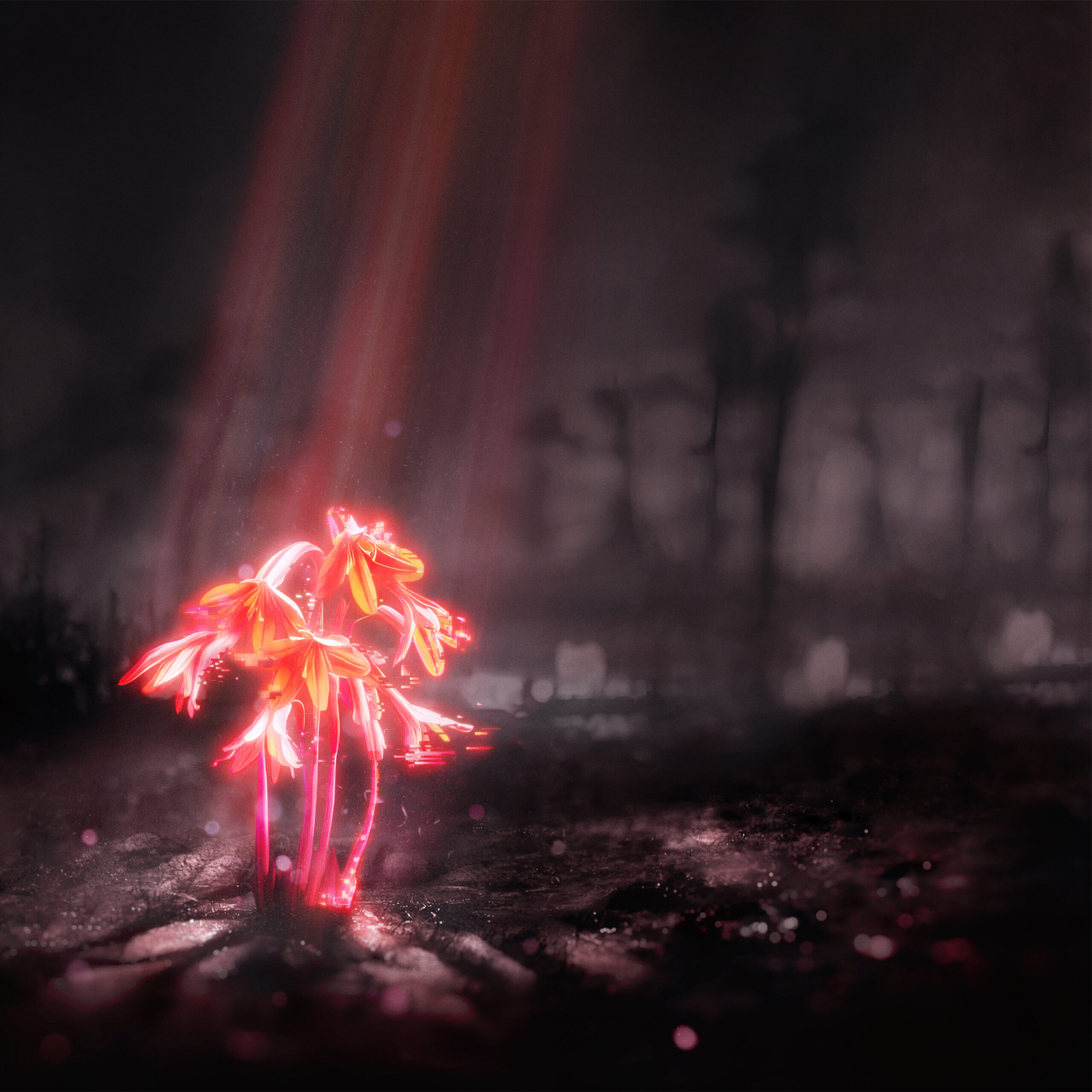 Enter Shikari - A Kiss For The World cover