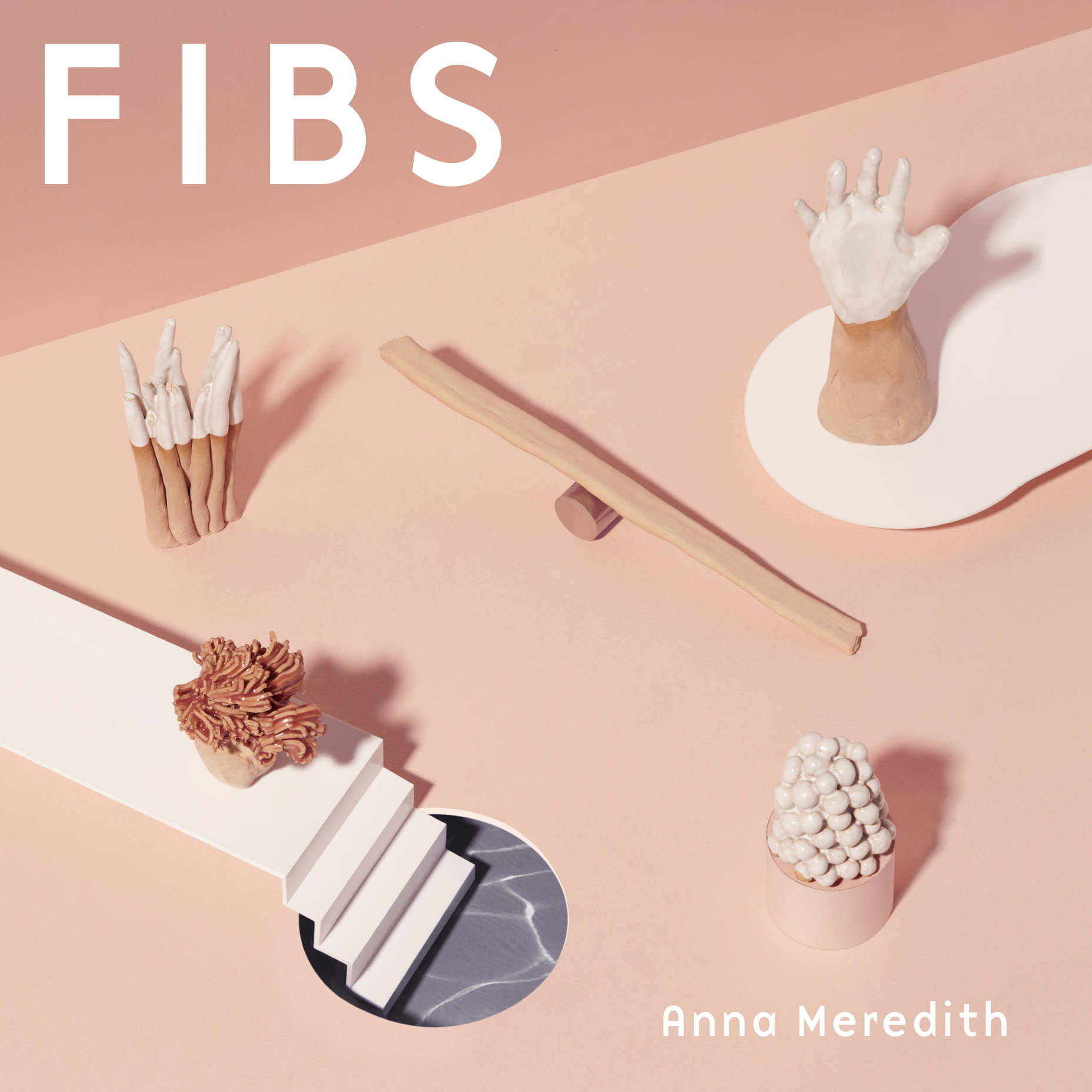 FIBS Album Packshot