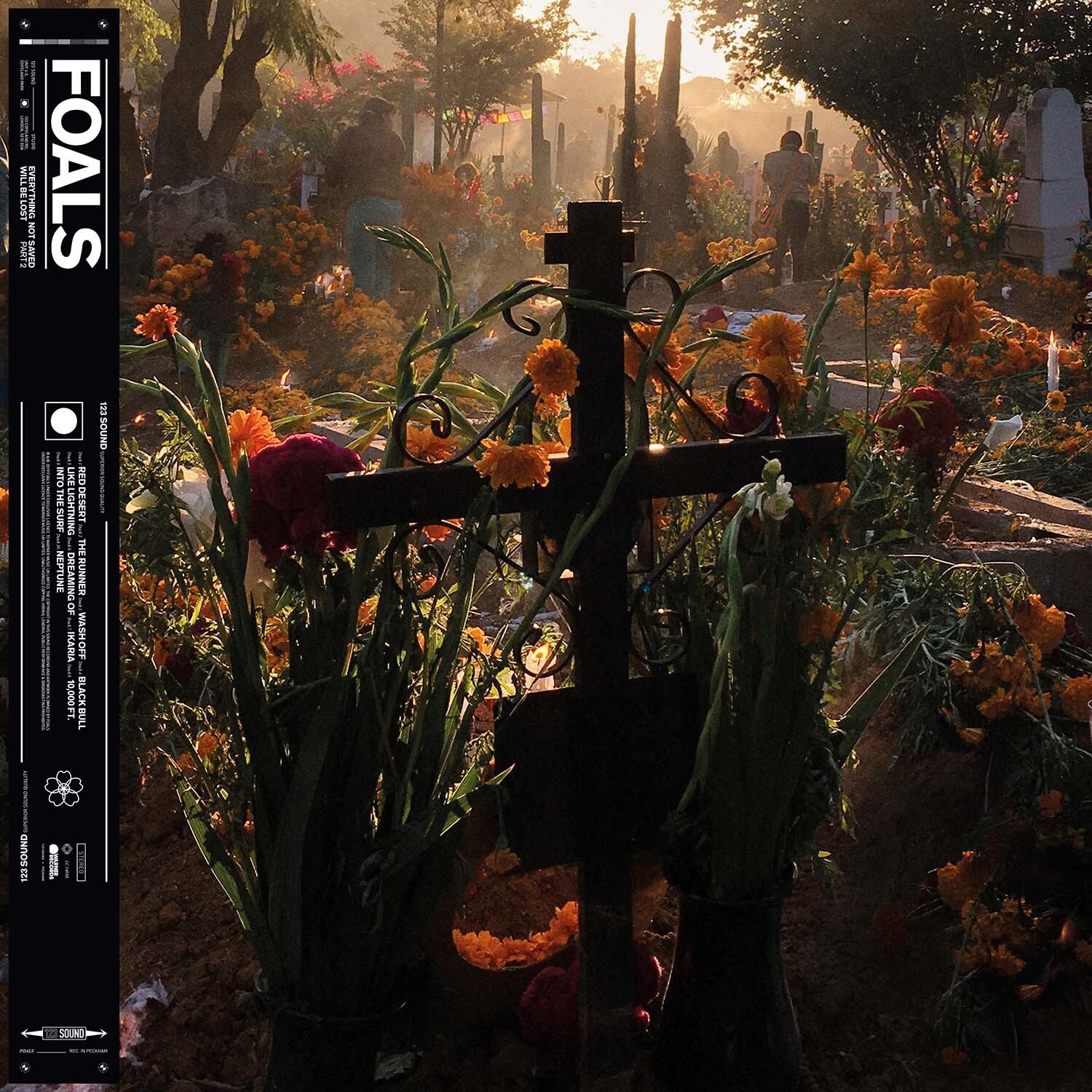 FOALS LP2 ONLINE REGULAR1 1 1