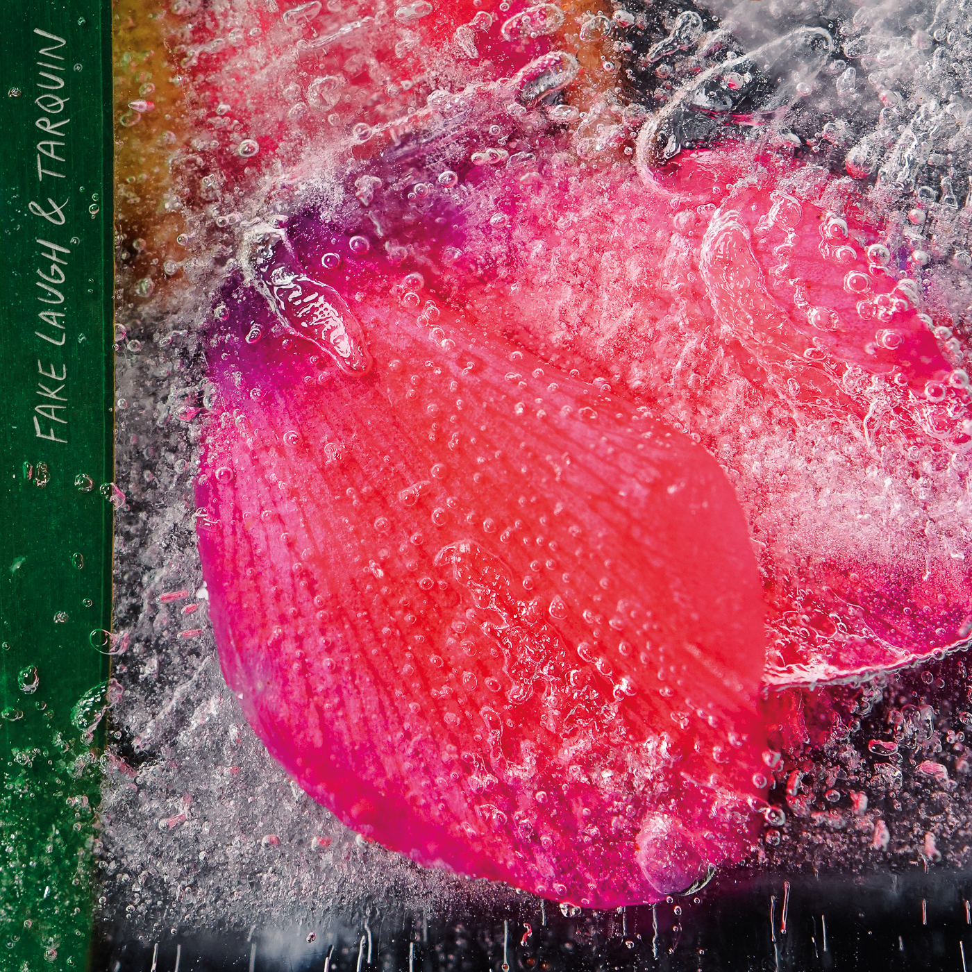 Fake Laugh and Tarquin