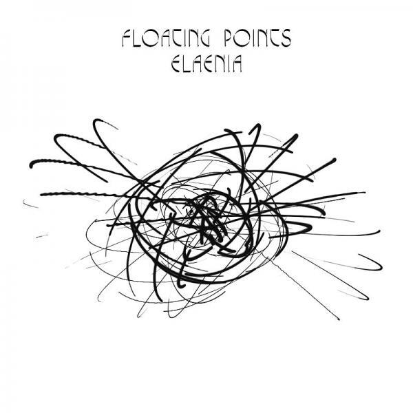 Floating Points Elaenia
