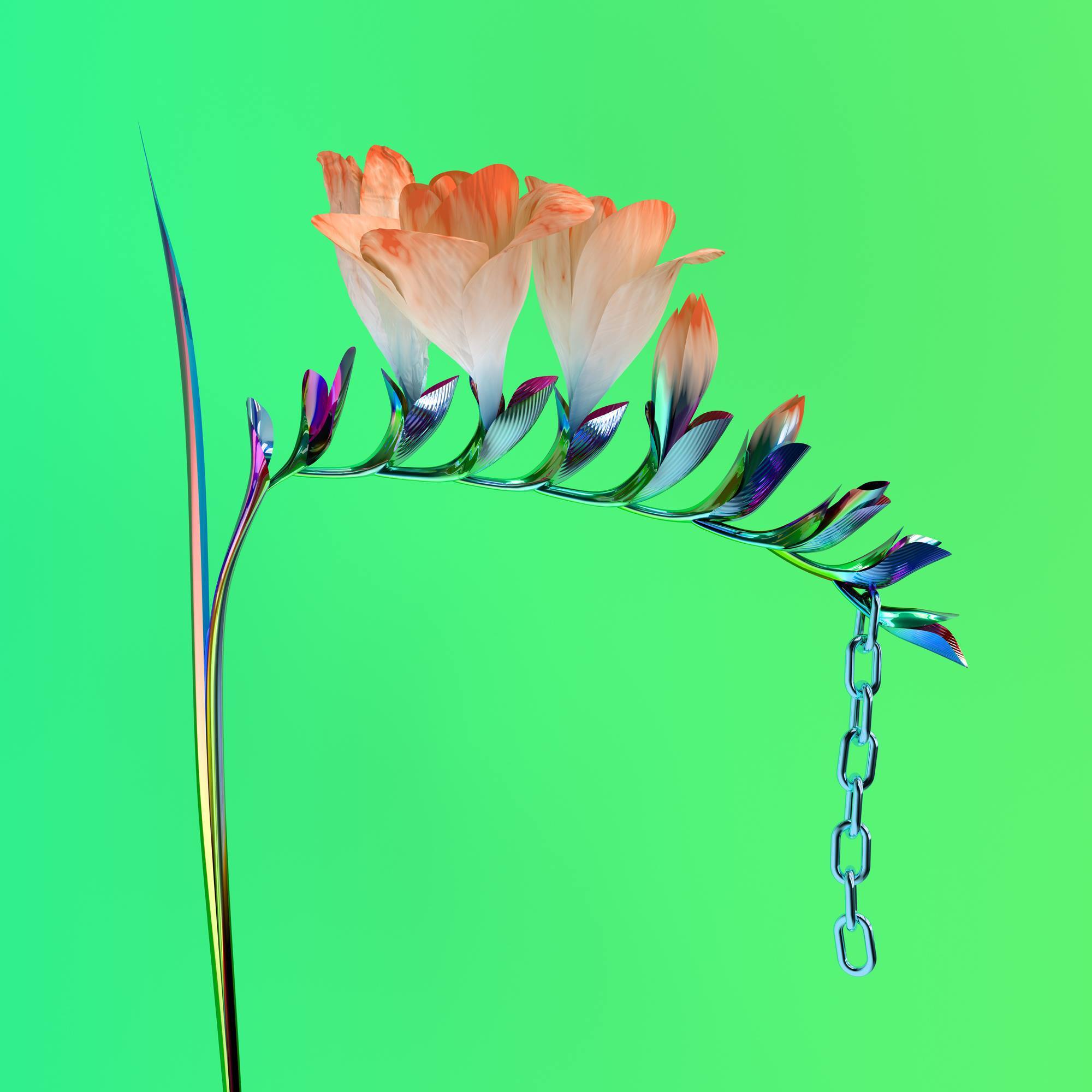Flume Skin Companion EP