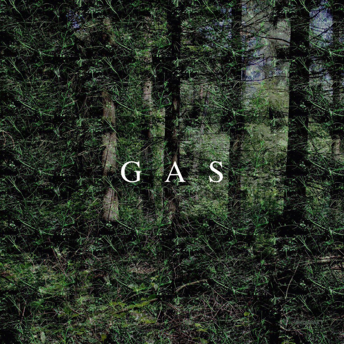 GAS RAUSCH