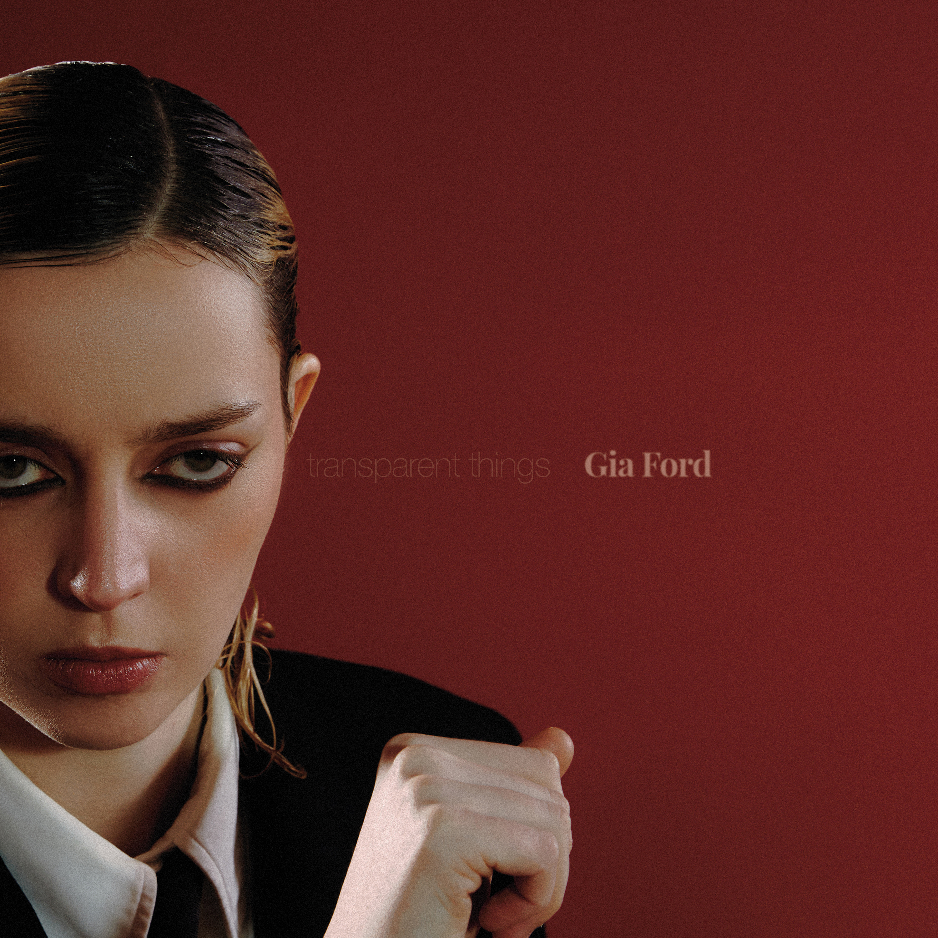 Gia Ford Transparent Things cover