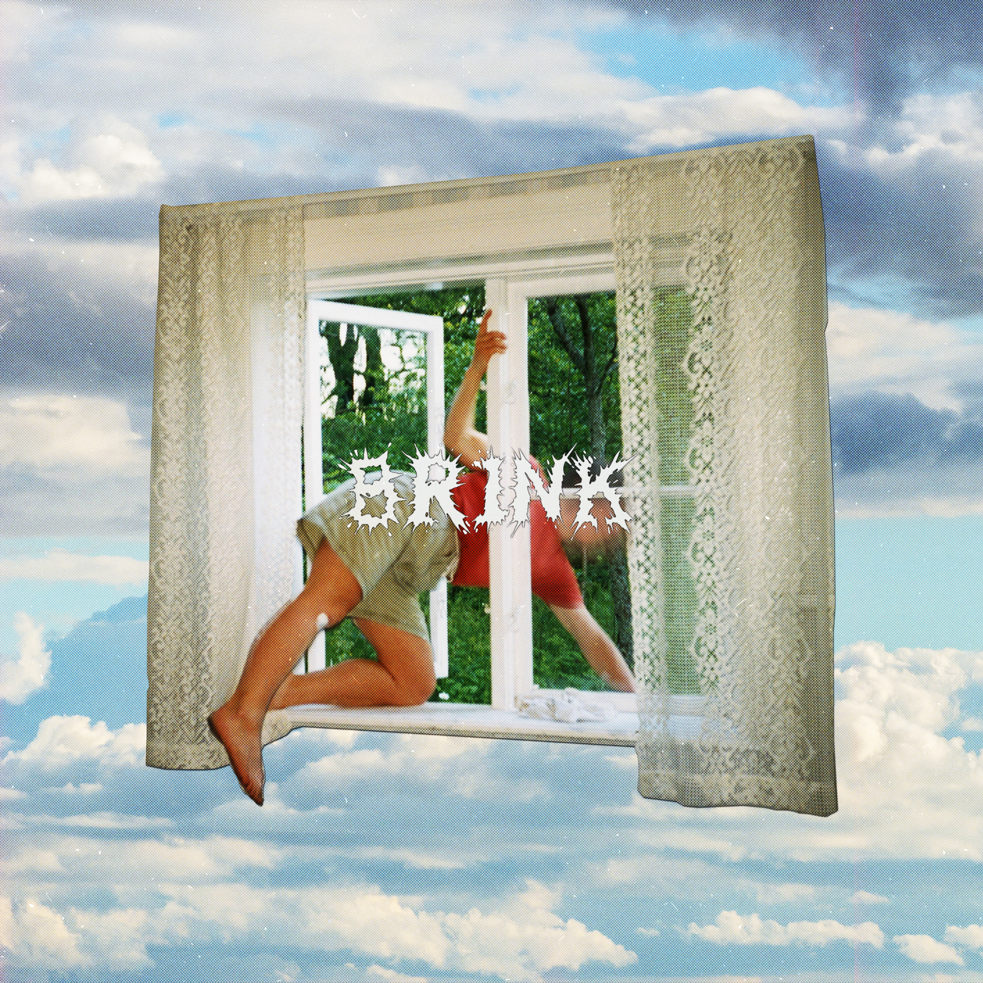 Girl Scout Brink cover